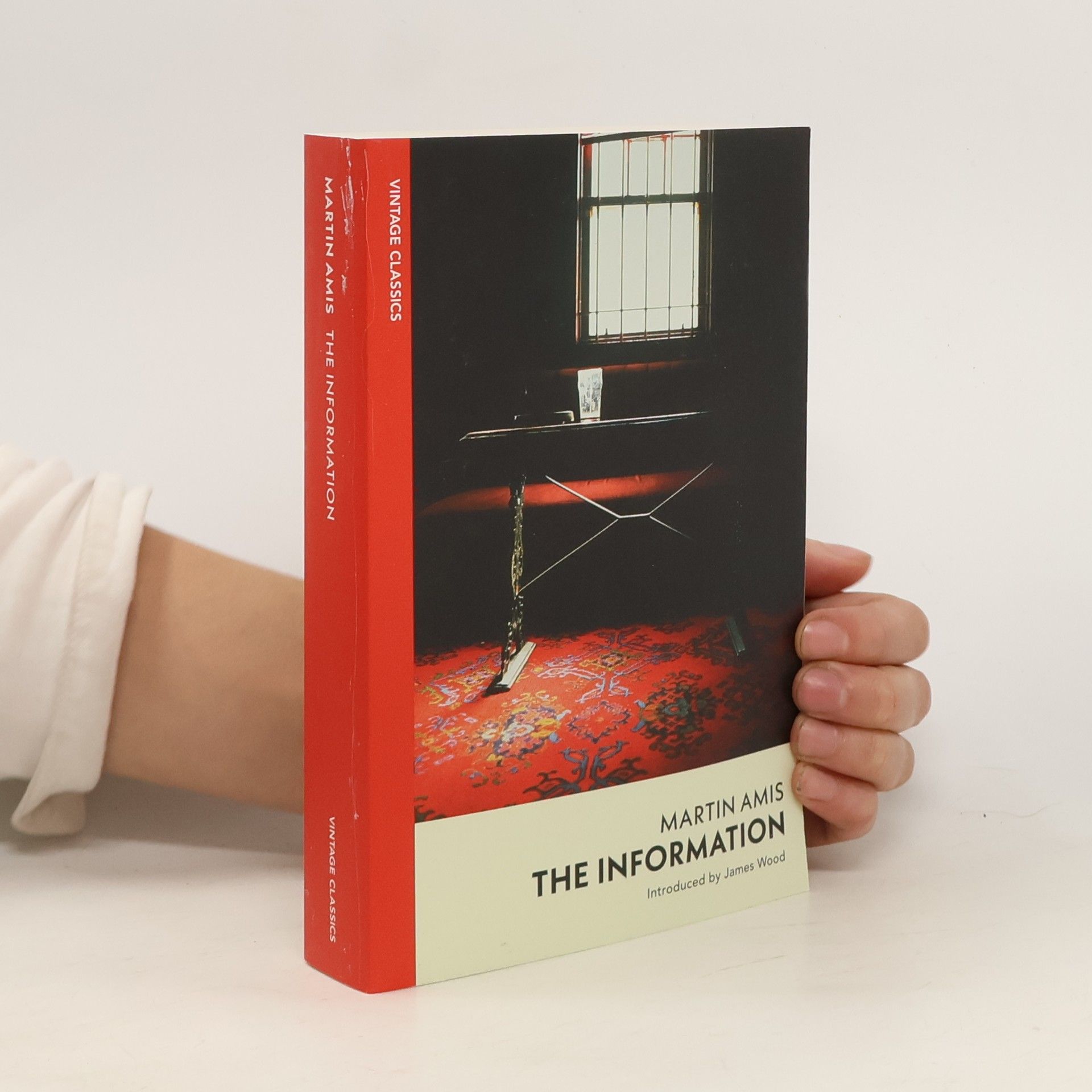 Martin Amis The Information