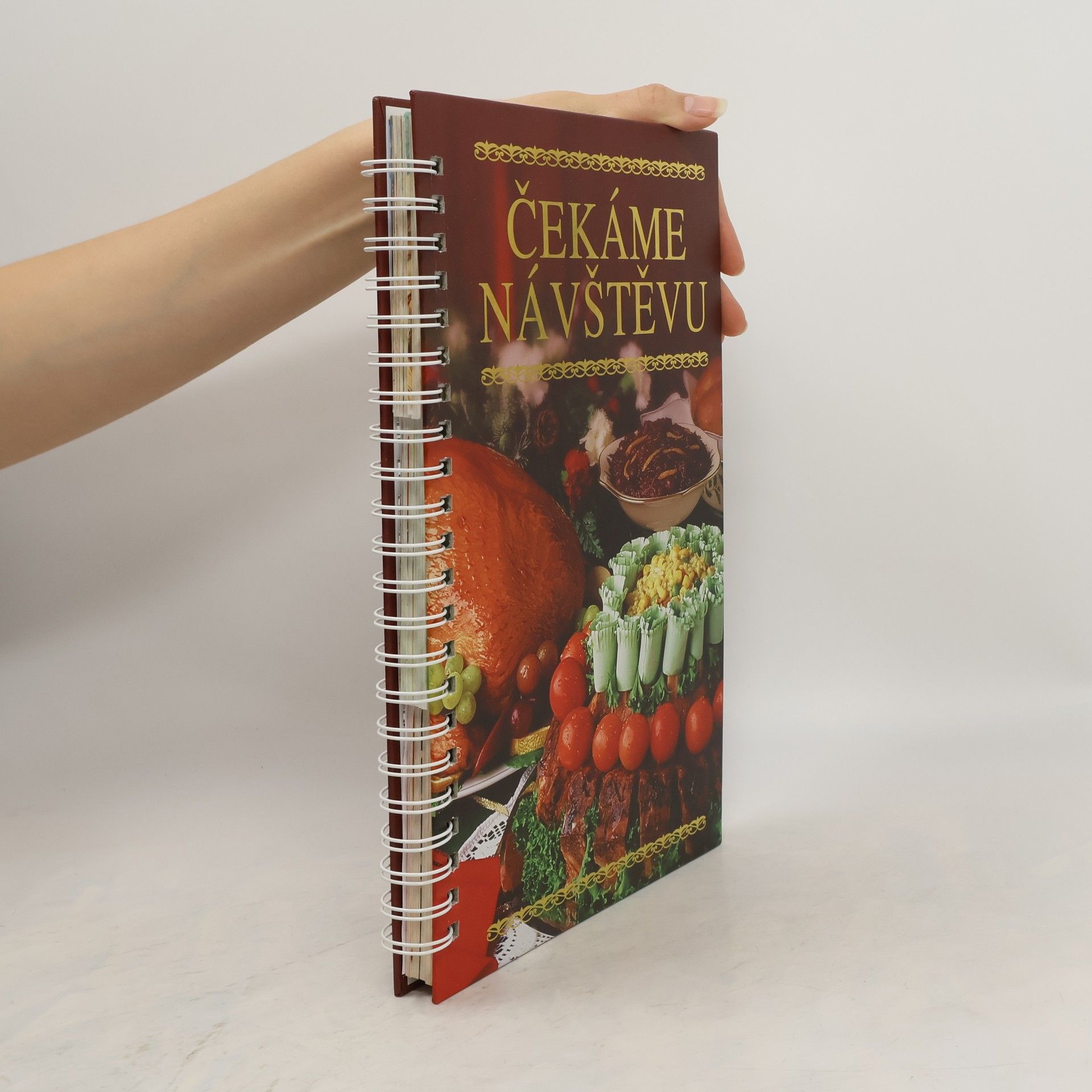 Oxana Uzunová Čekáme na návštěvu