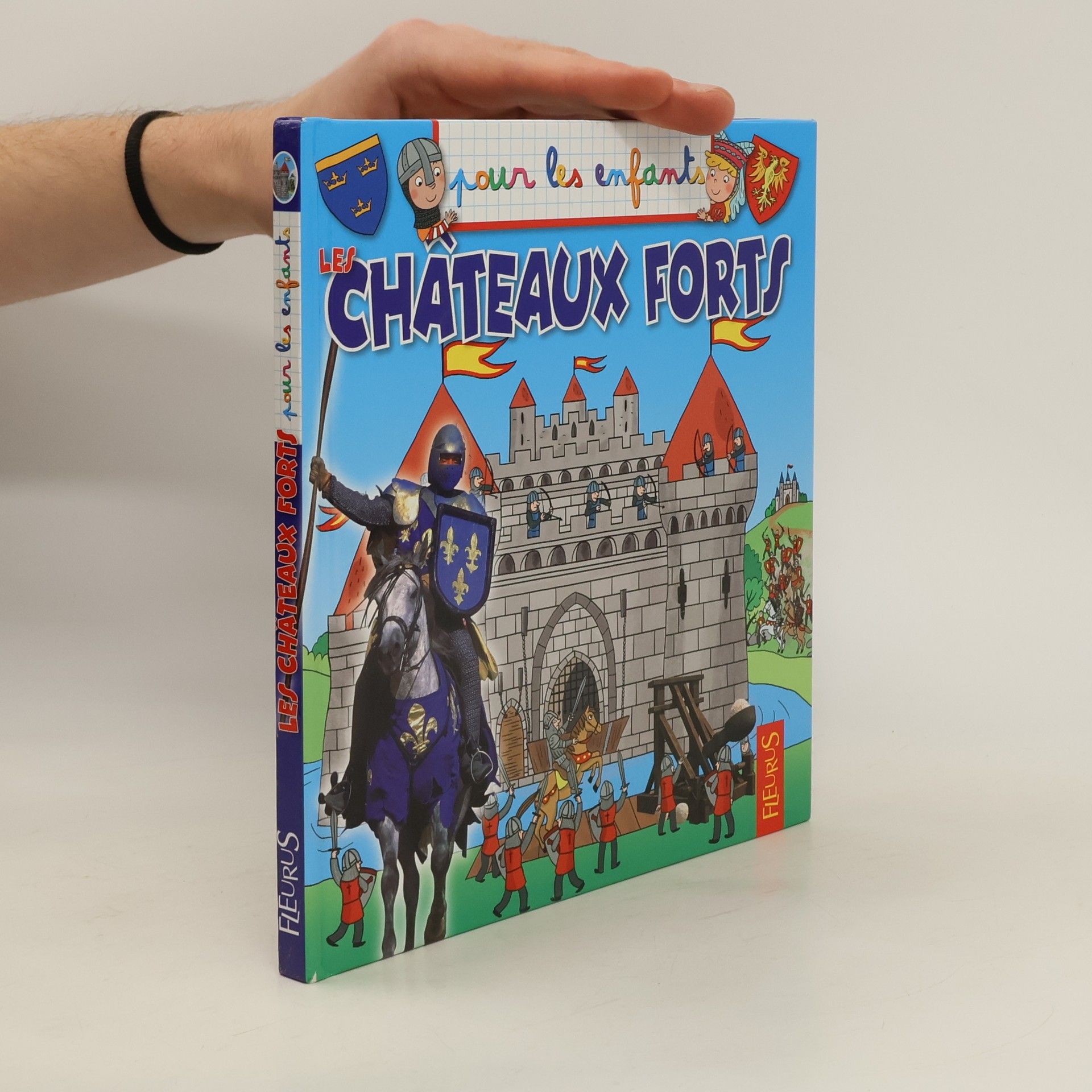 Emmanuelle Lepetit Les châteaux forts