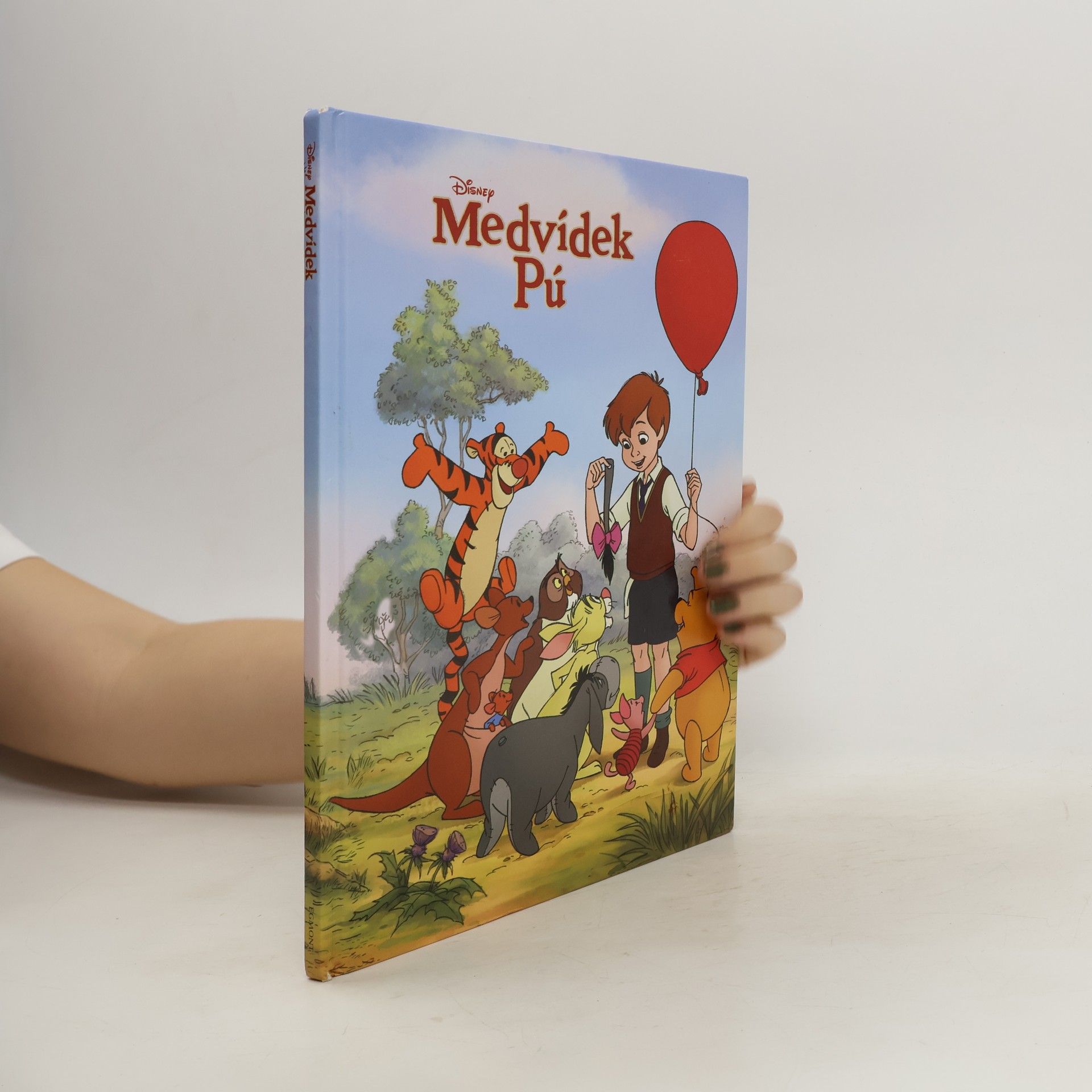 kolektiv Medvídek Pú