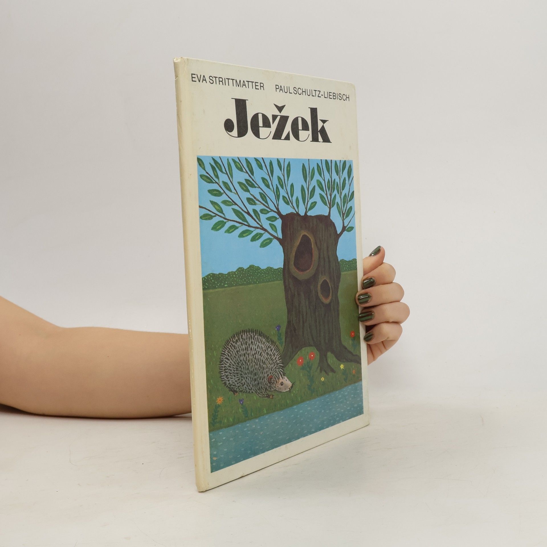 Eva Strittmatter Ježek