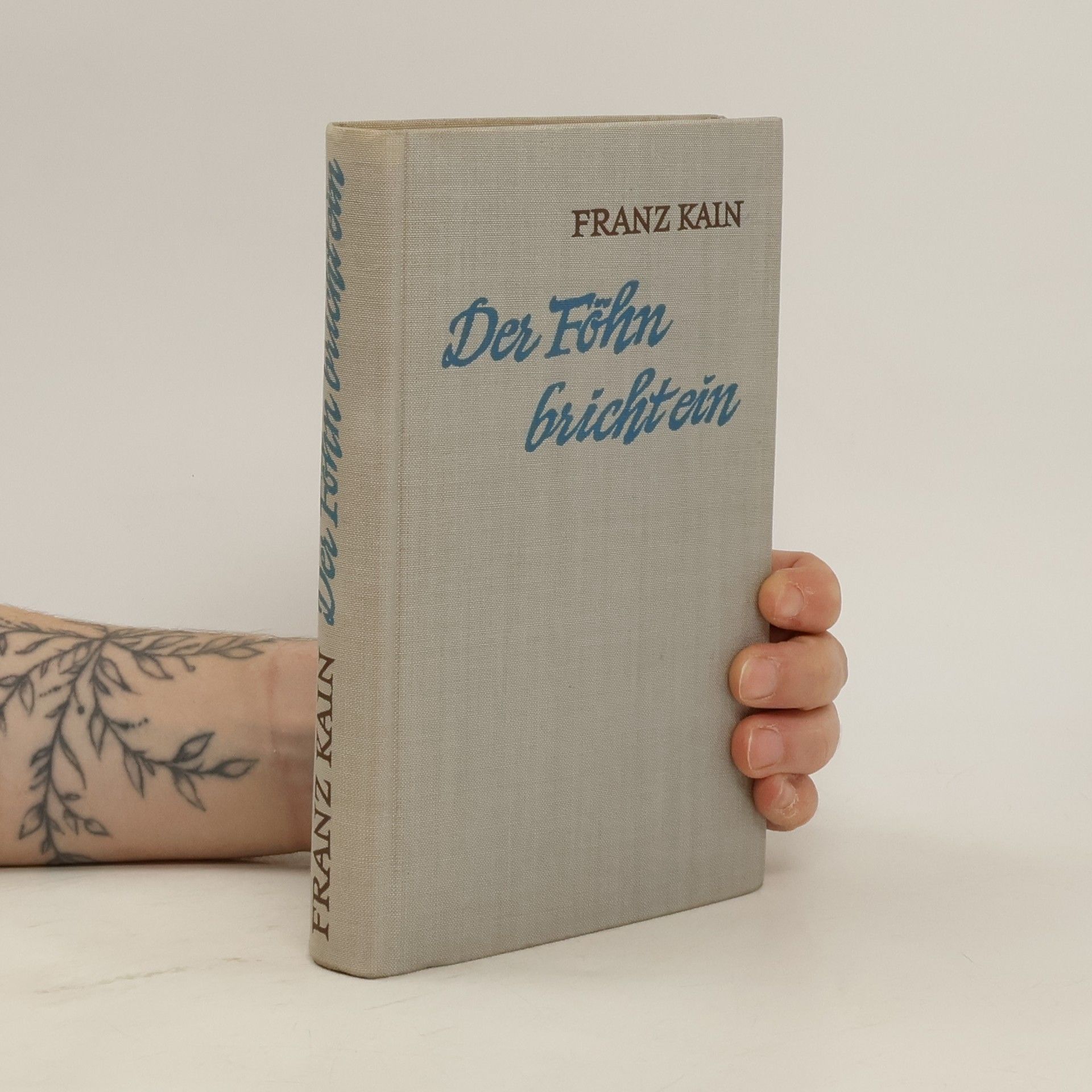 Franz Kain Der Föhn bricht ein