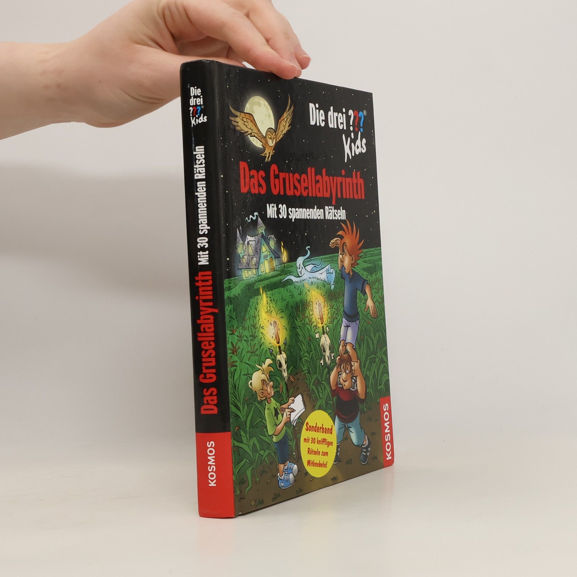 Ulf Blanck Das Grusellabyrinth