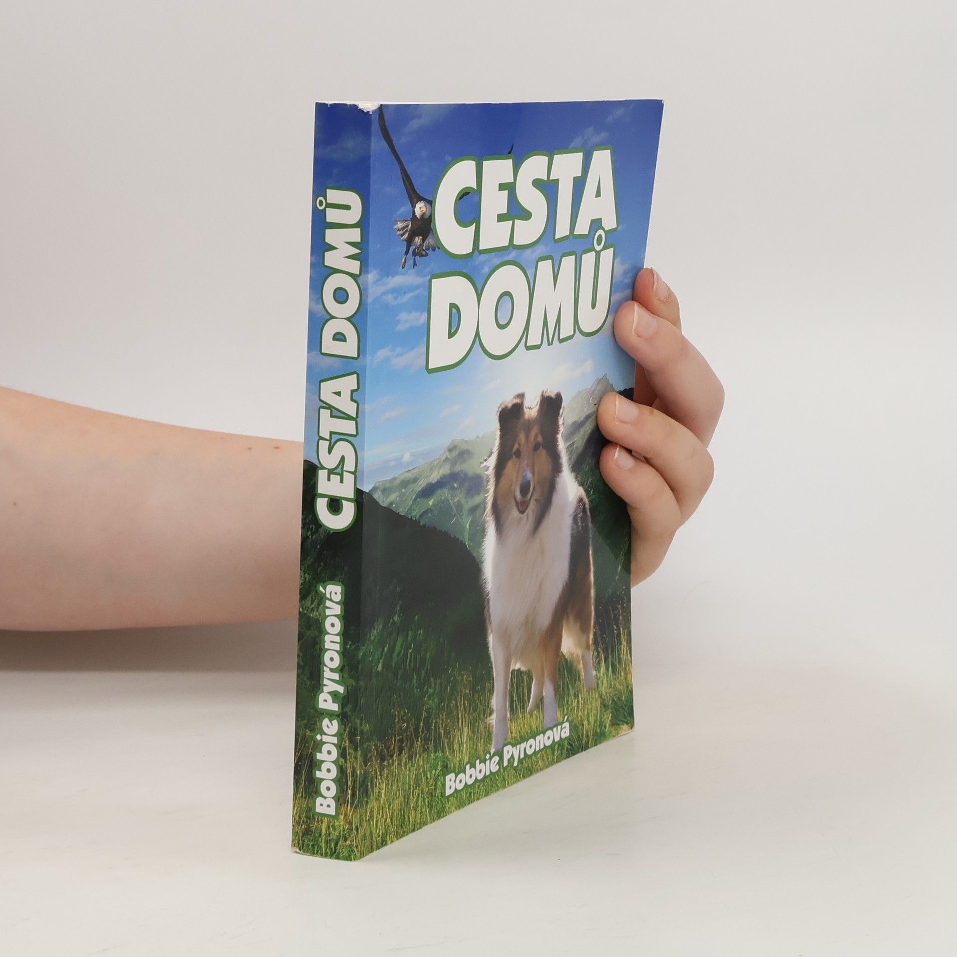 Bobbie Pyron Cesta domů