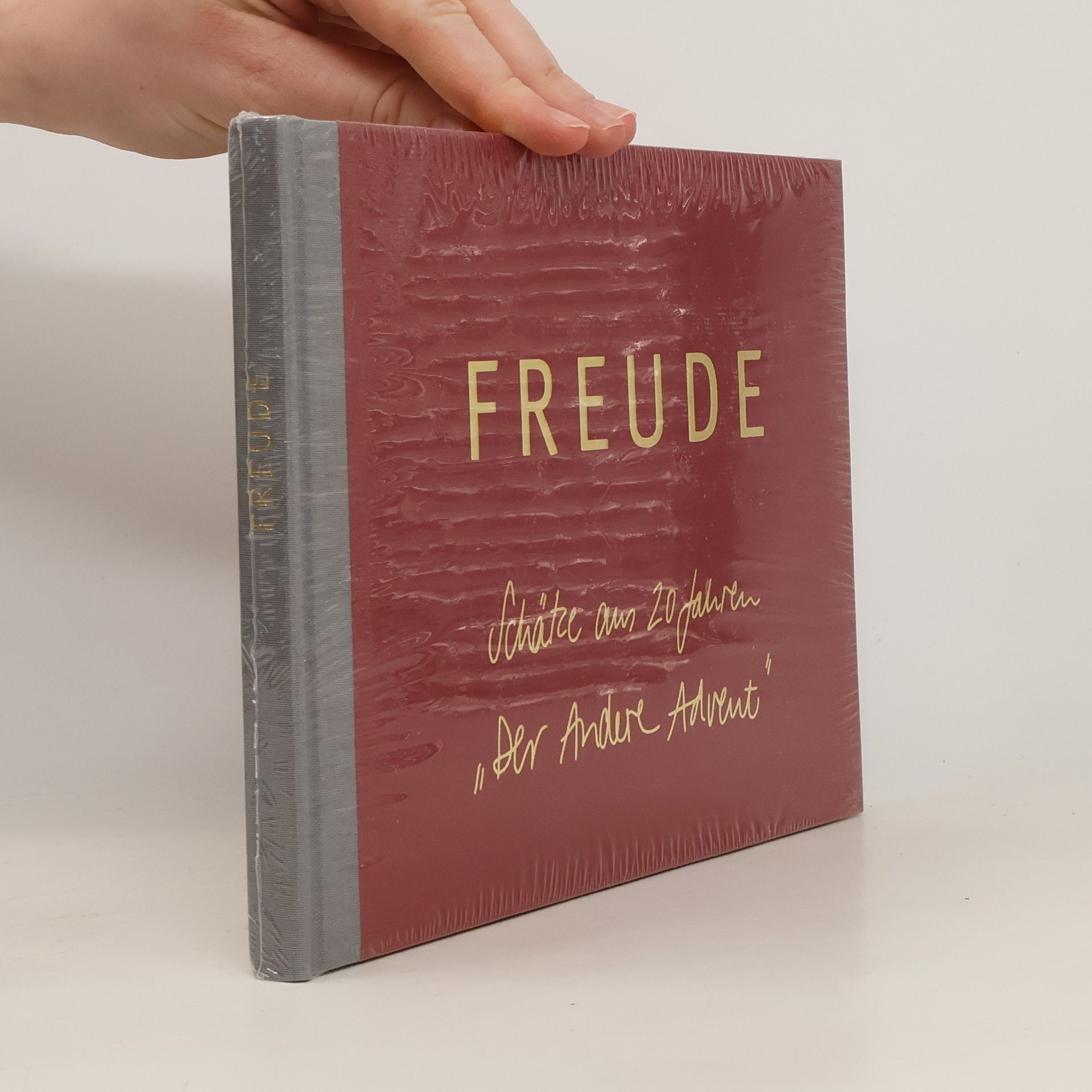 Autorenkollektiv Freude Schätze ans 20 Jahren "Der Andere Advent"