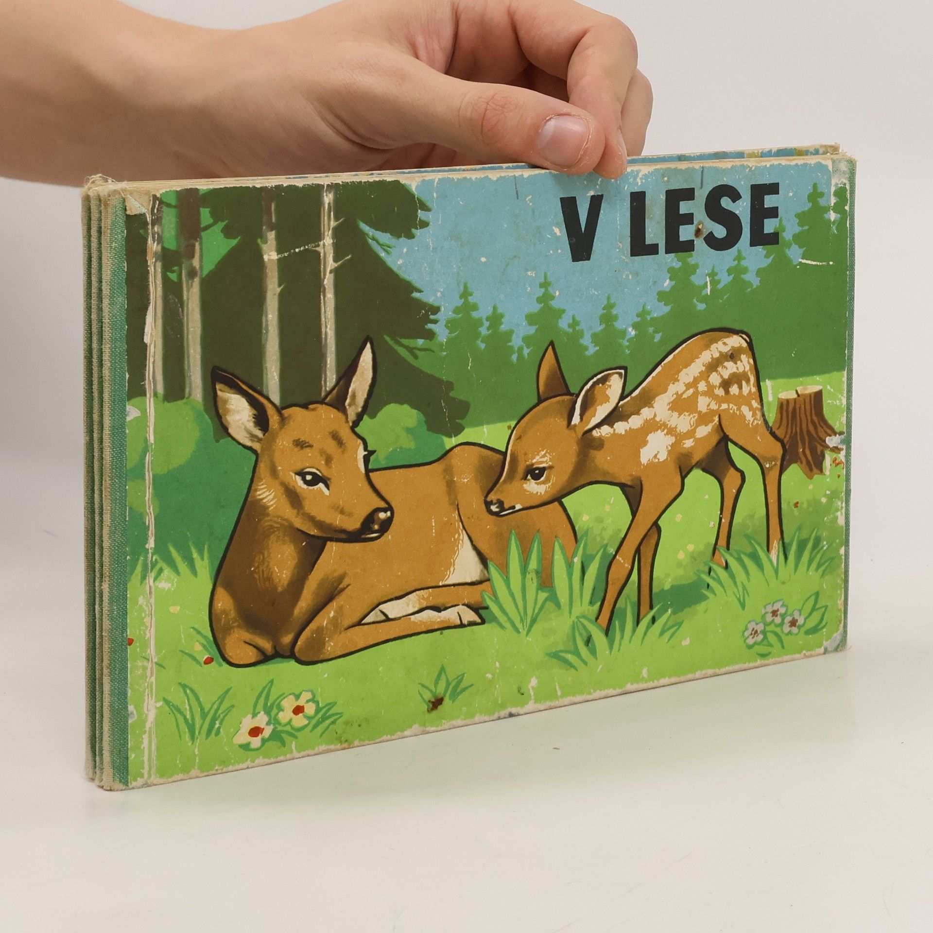 Collectif d'auteurs V lese