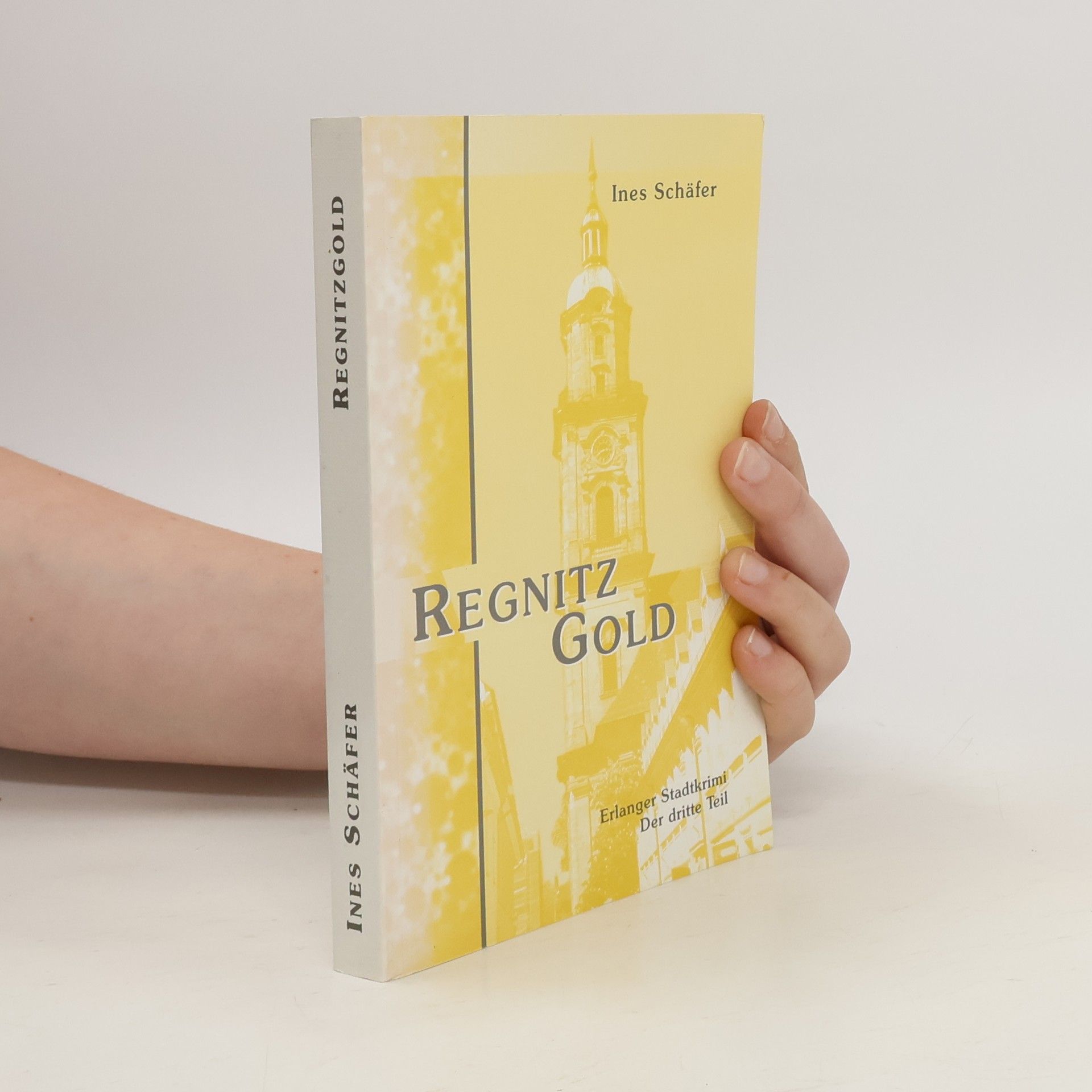 Regnitzgold. Erlanger Stadtkrimi - der dritte Teil