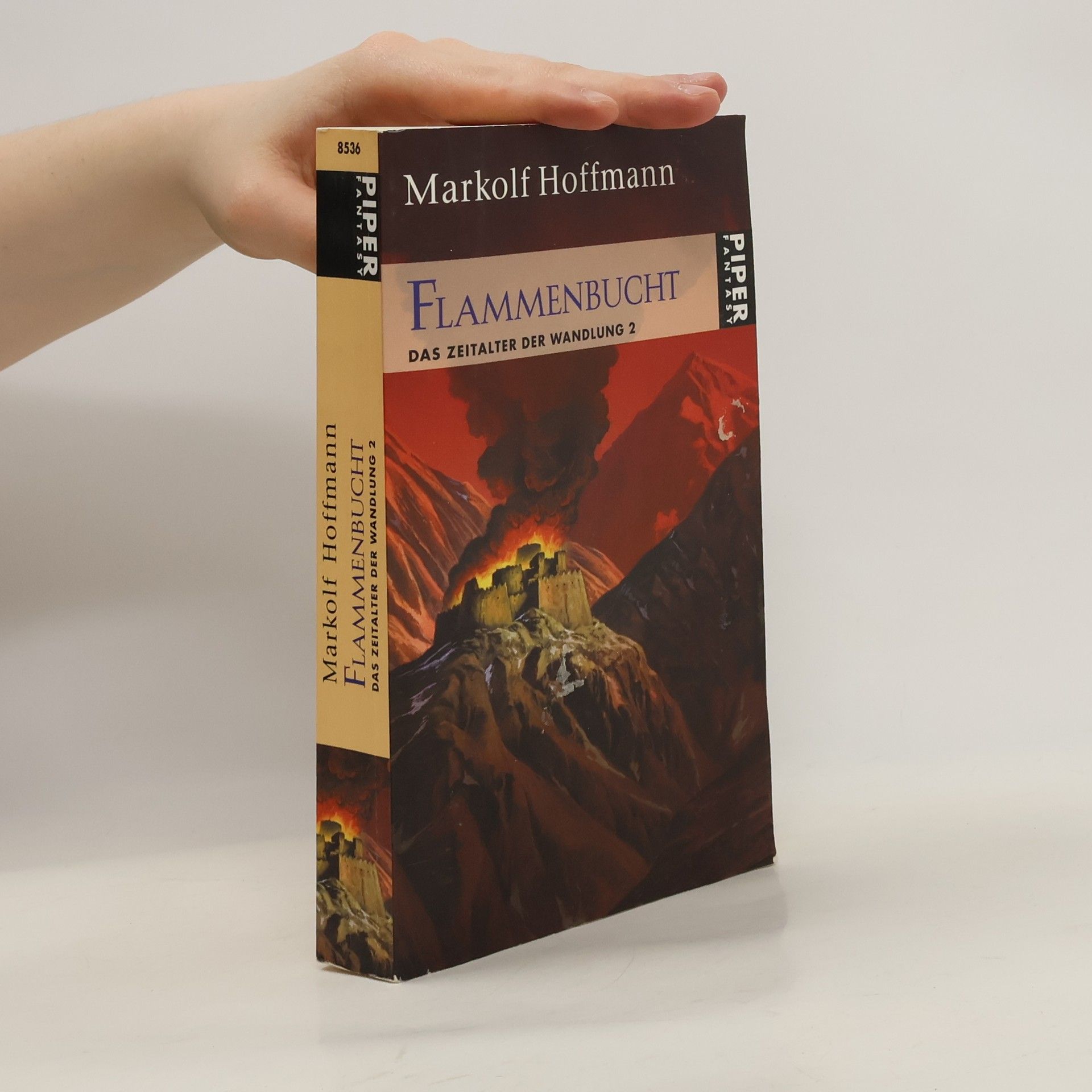 Markolf Hoffmann Flammenbucht