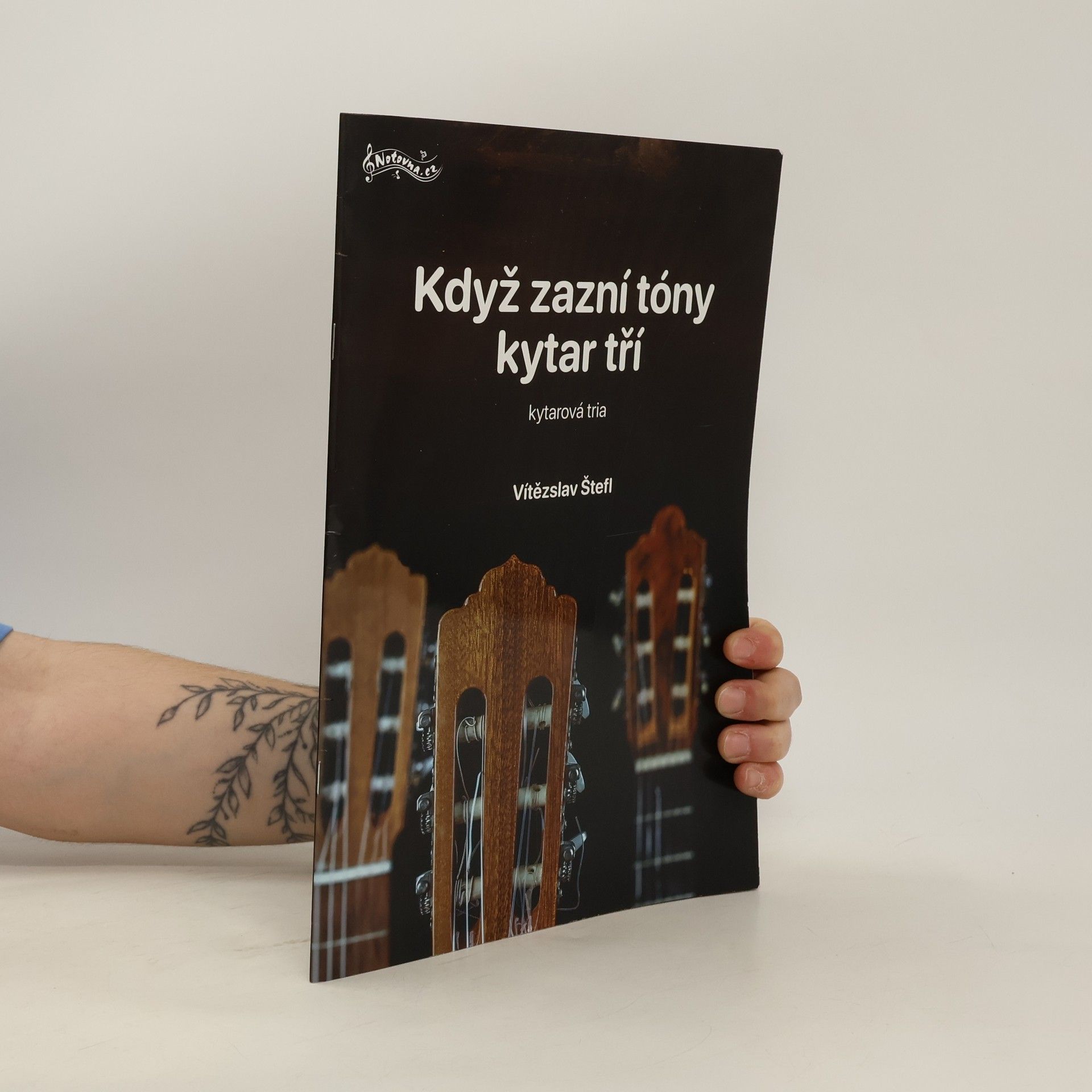 Aleš Bořík Když zazní tóny kytar tří