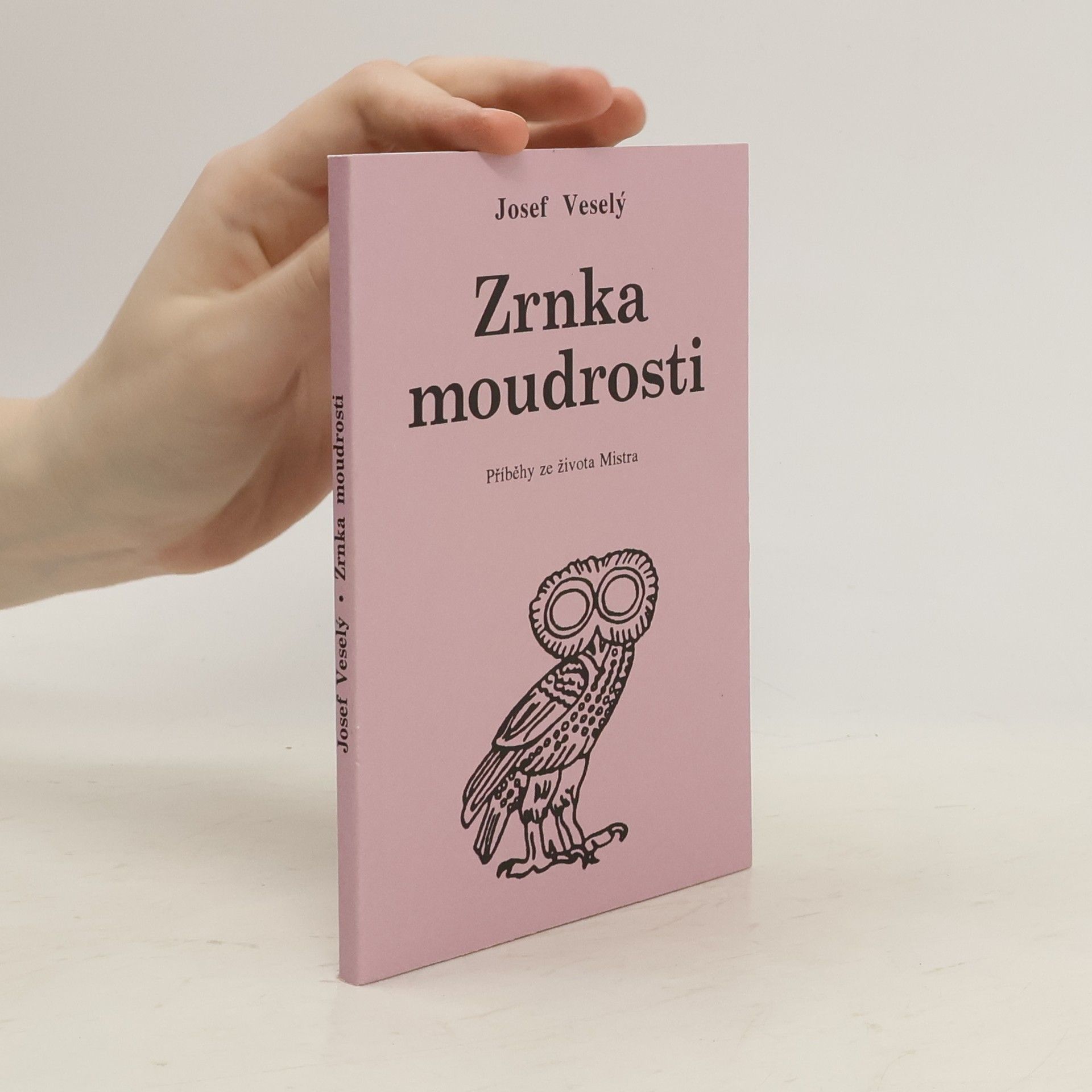Josef Veselý Zrnka moudrosti: příběhy ze života Mistra