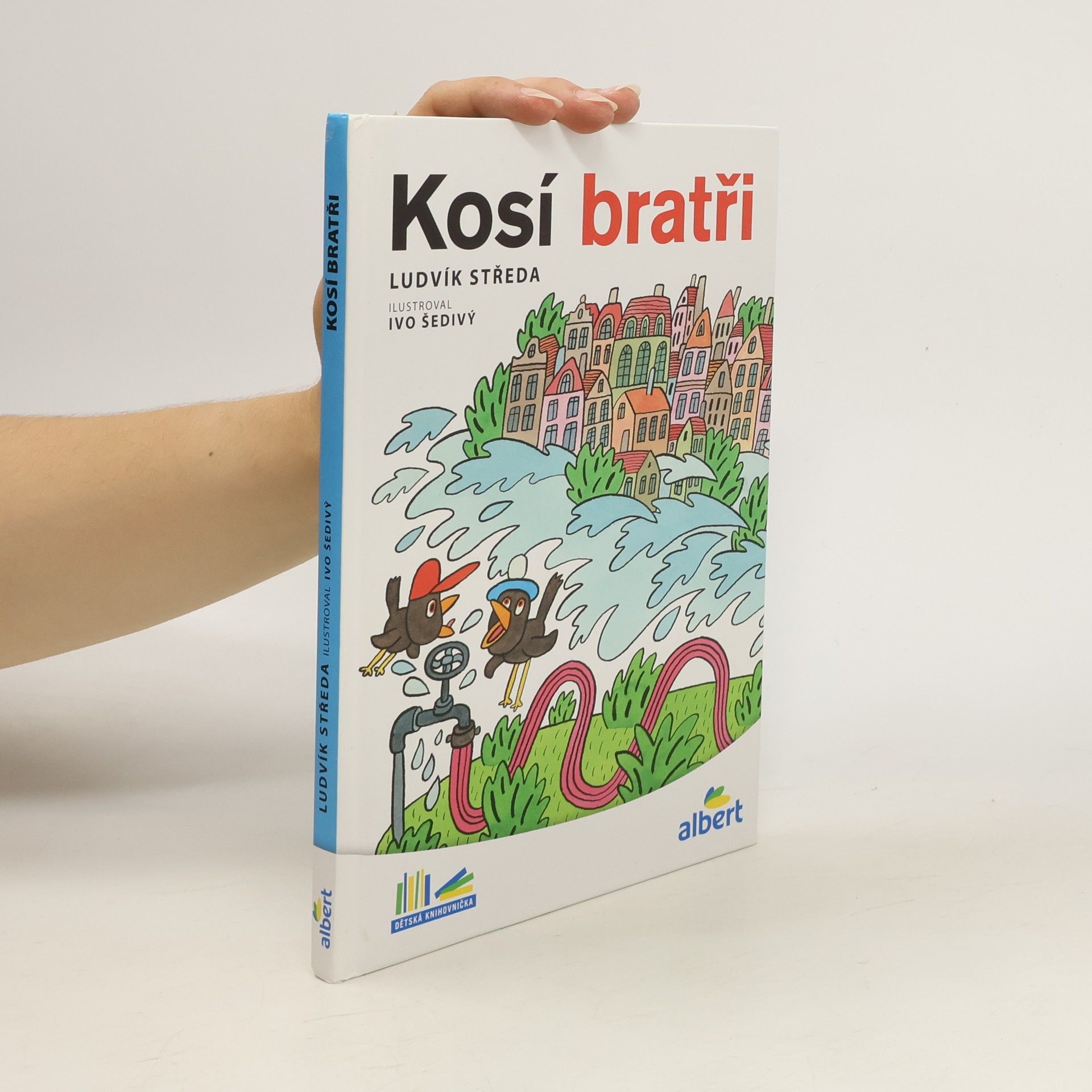 Ludvík Středa Kosí bratři