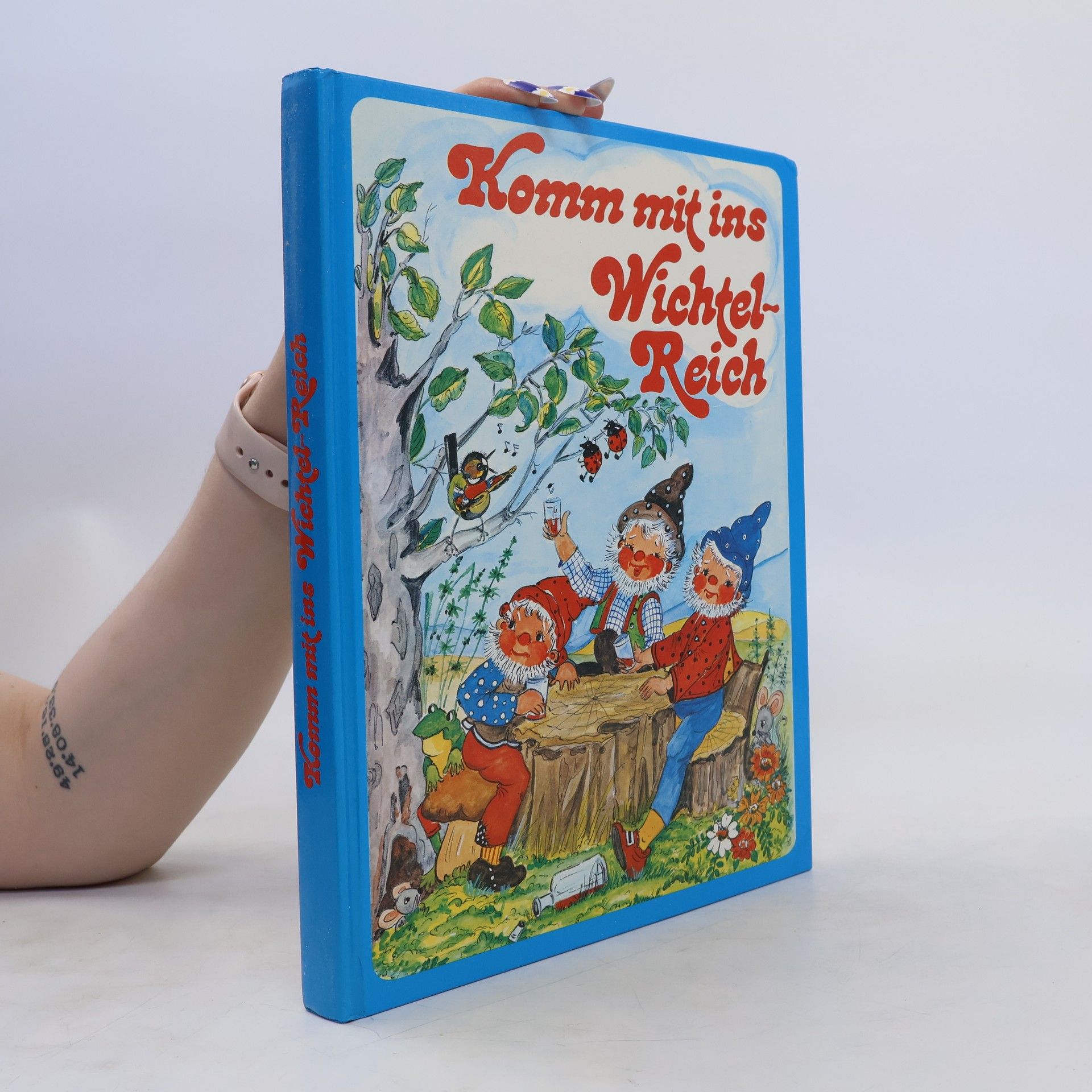 Helga R. Roßmeisl Komm mit ins Wichtel-Reich