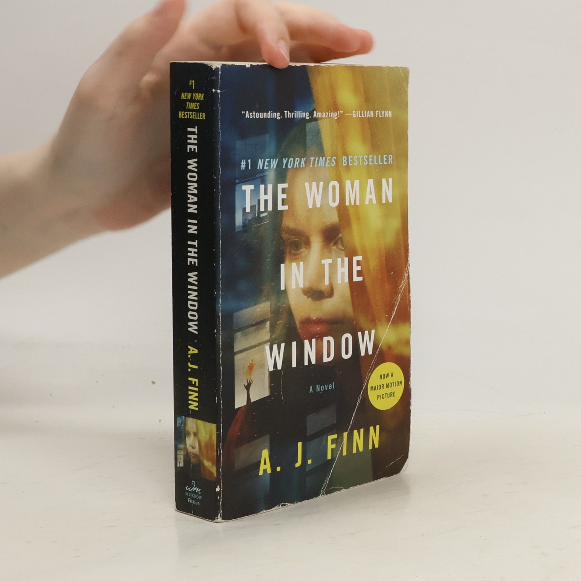 Finn The Woman in the Window