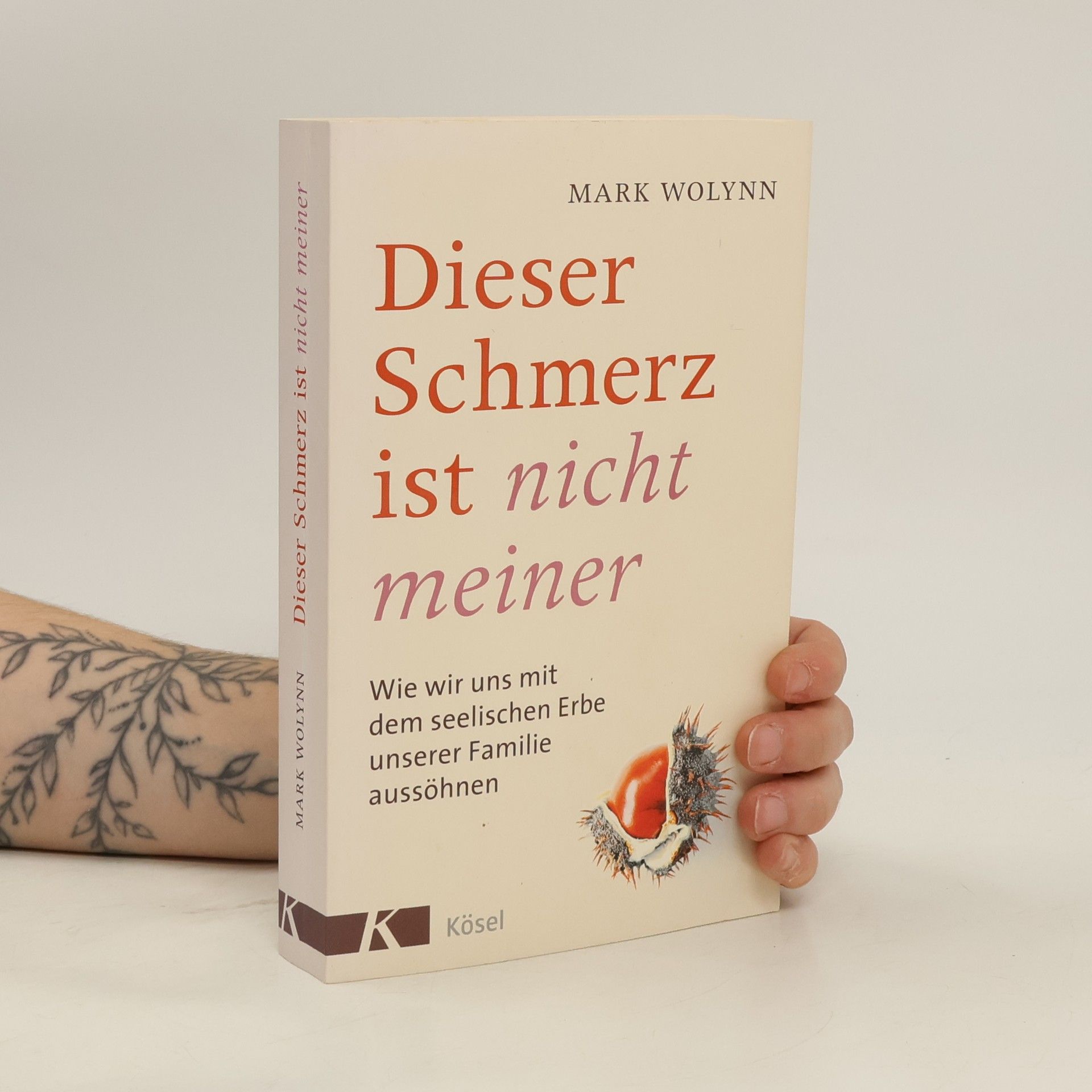 Mark Wolynn Dieser Schmerz ist nicht meiner