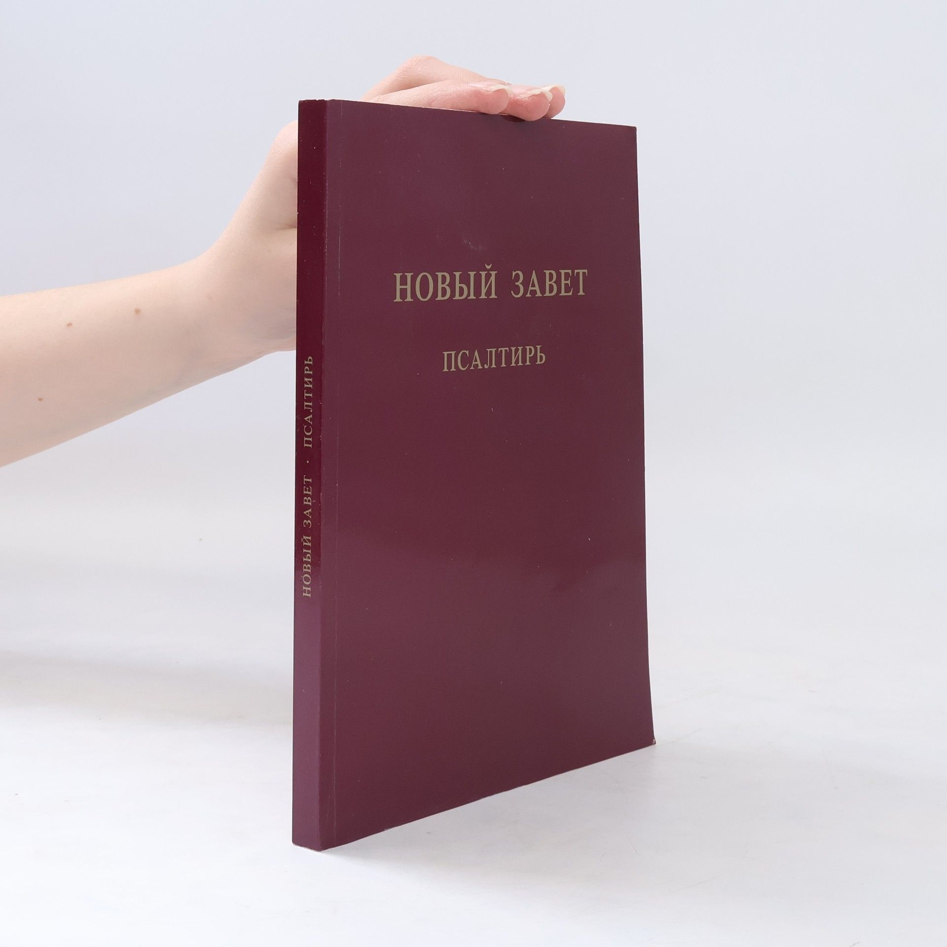 Auteurscollectief Новый Завет Псалтирь