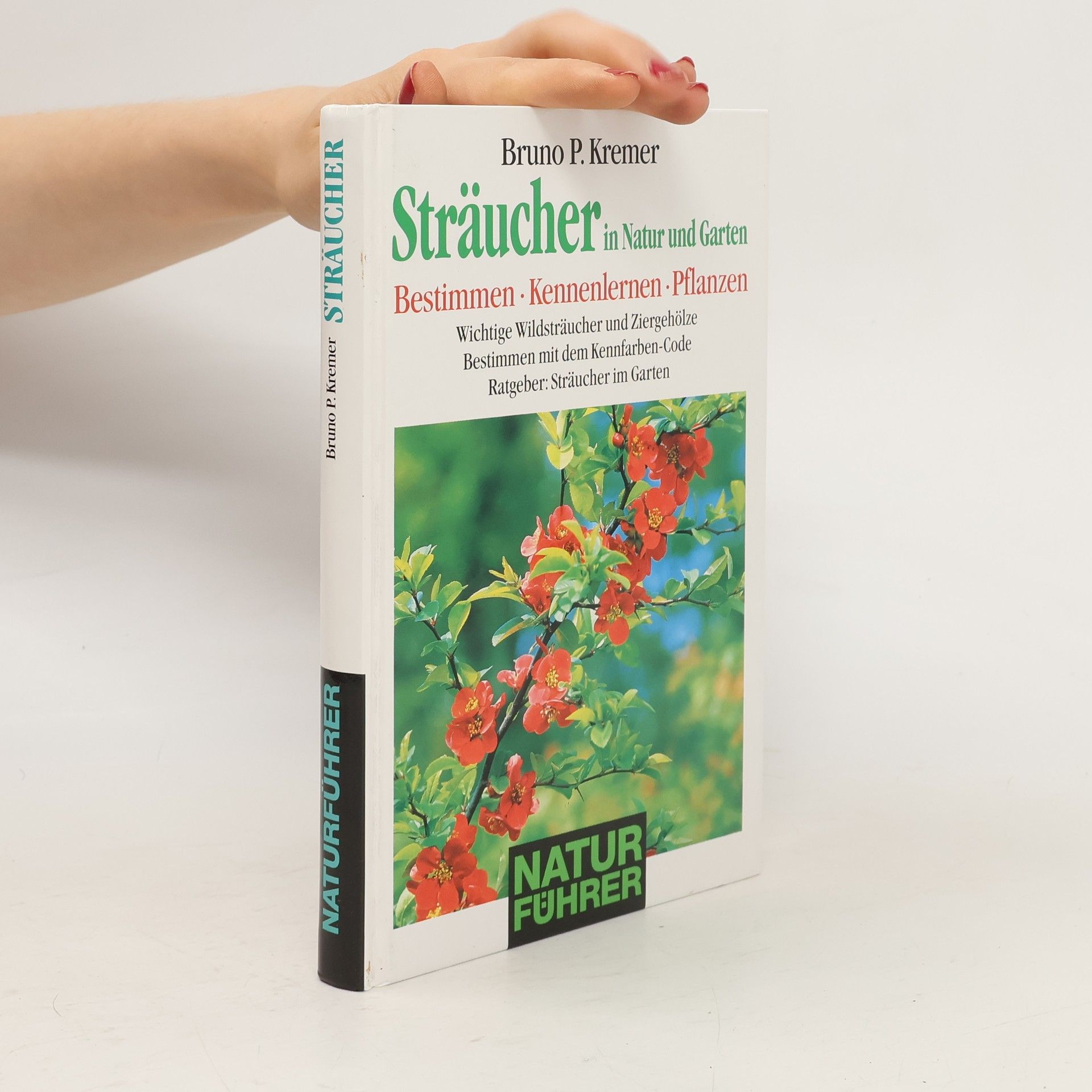 Bruno P. Kremer Sträucher in Natur und Garten. Bestimmen - Kennenlernen - Pflanzen