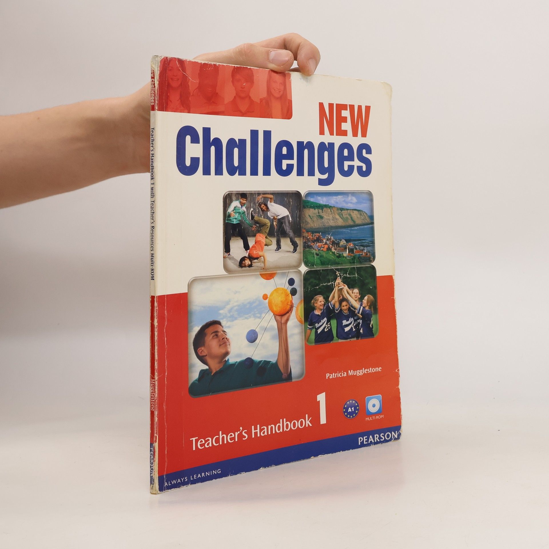 Patricia Mugglestone New challenges. 1, Teacher's handbook