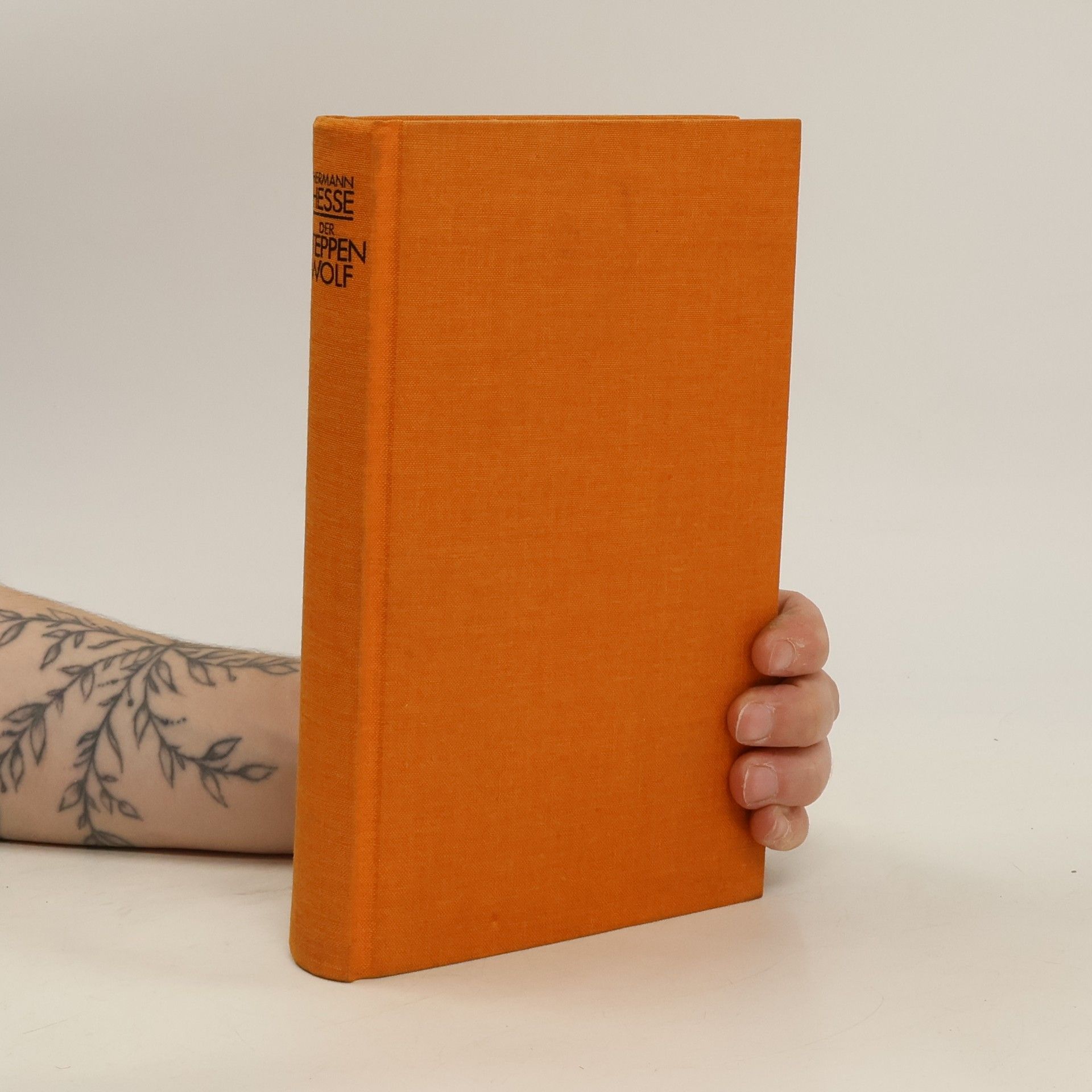 Hermann Hesse Der Steppen Wolf