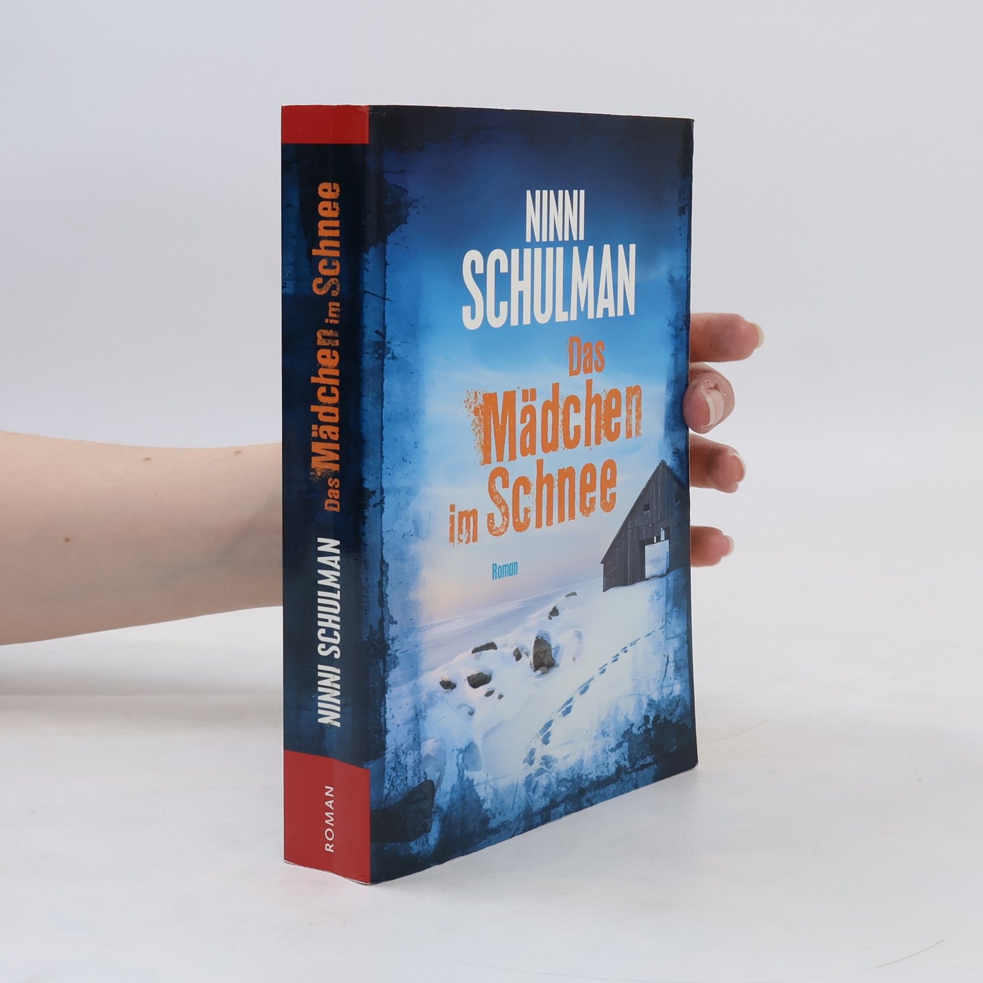 Ninni Schulman Das Mädchen im Schnee