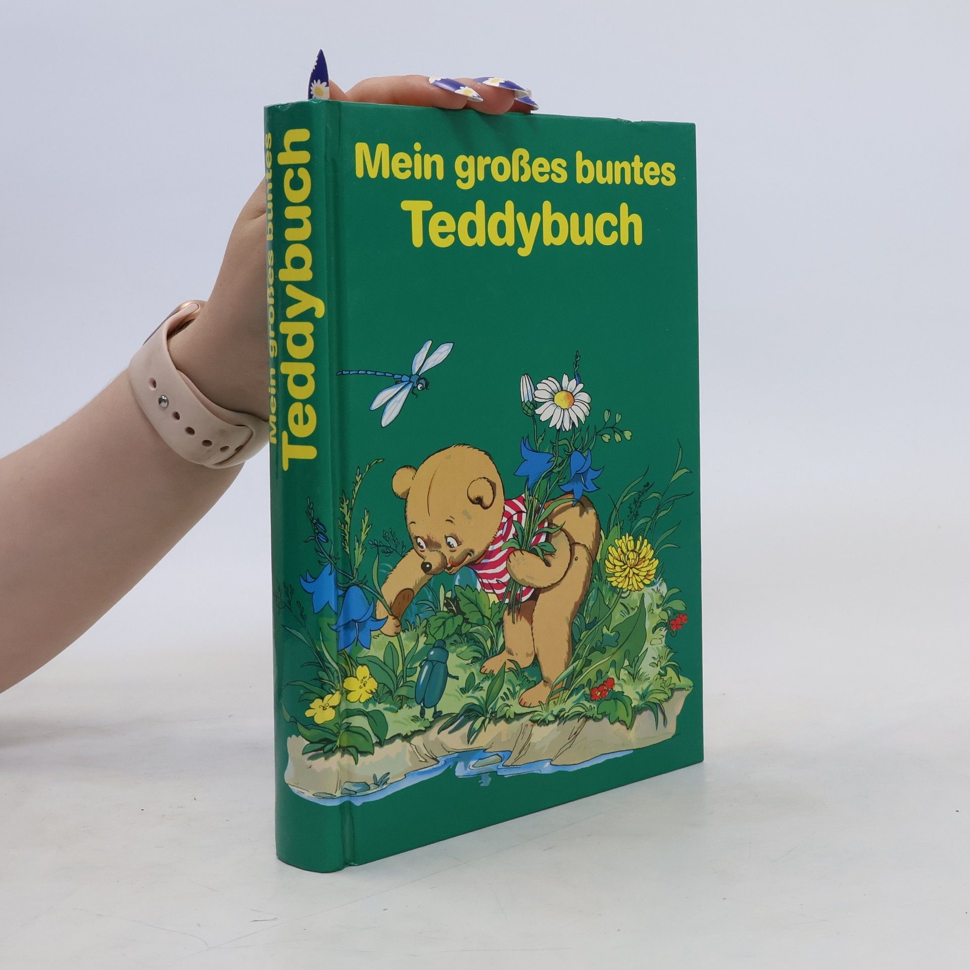 kolektiv Mein großes buntes Teddybuch