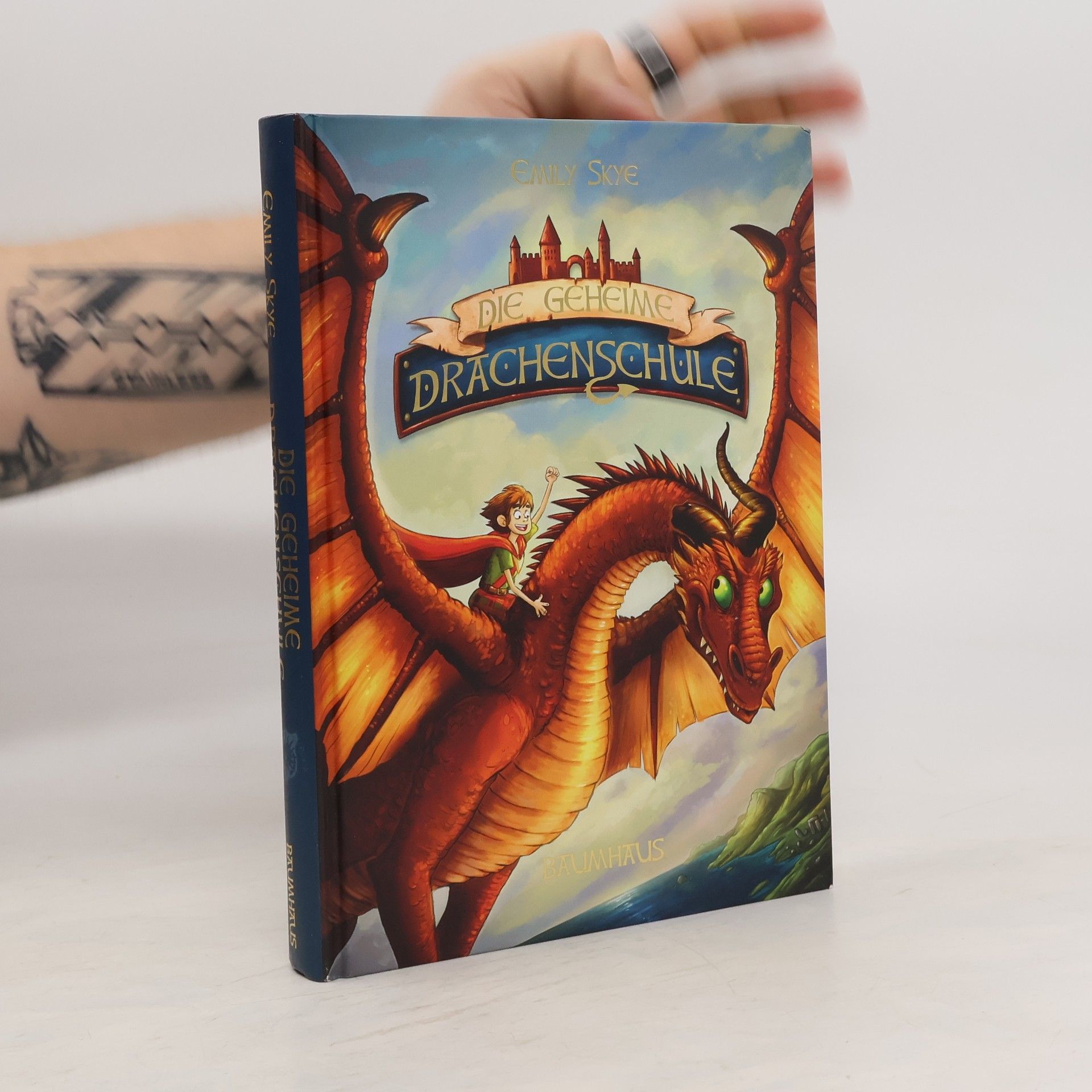 Emily Skye Die geheime Drachenschule