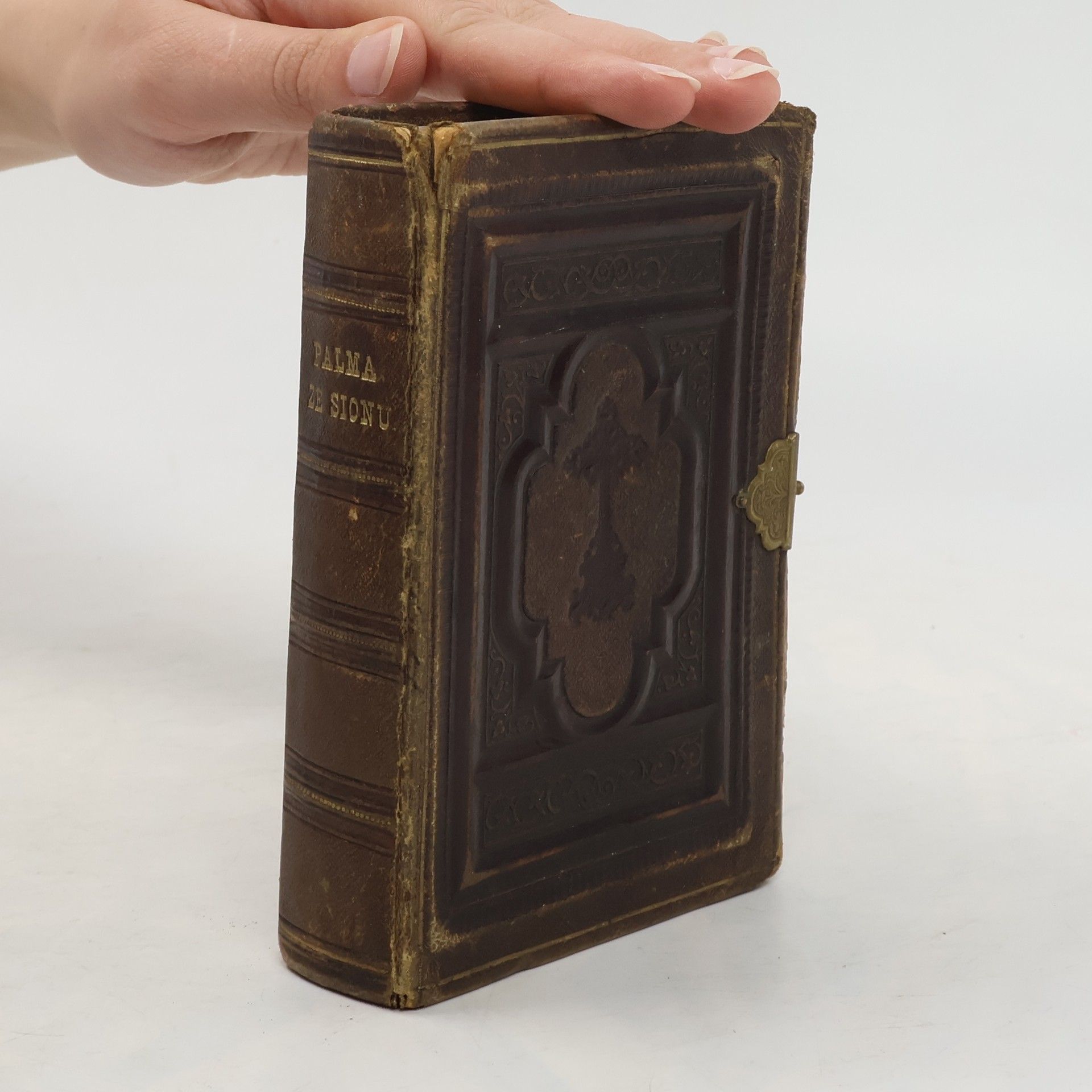 Josef Mírumil Pohořelý Palma ze Sionu