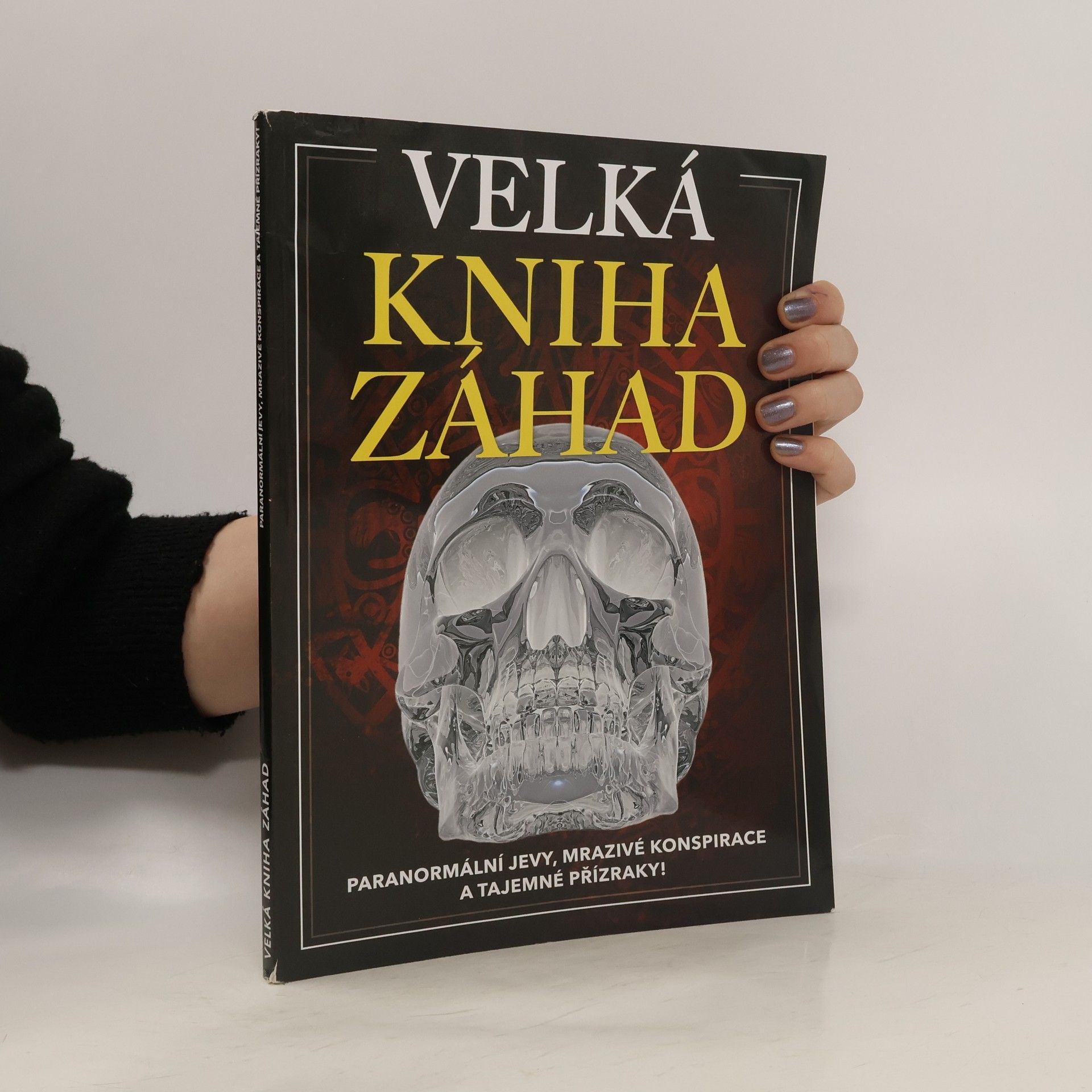 Pavel Šmejkal Velká kniha záhad