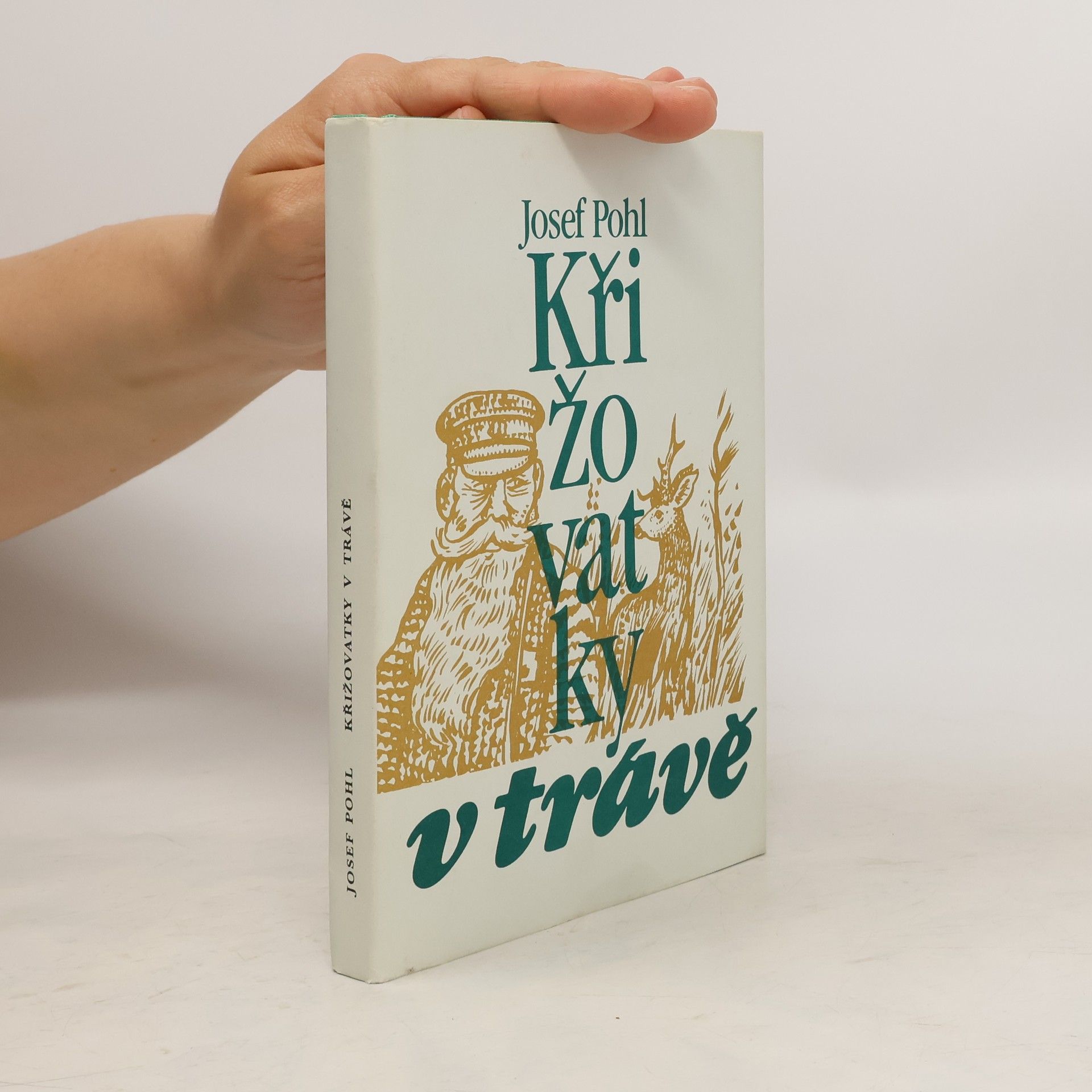 Josef Pohl Křižovatky v trávě