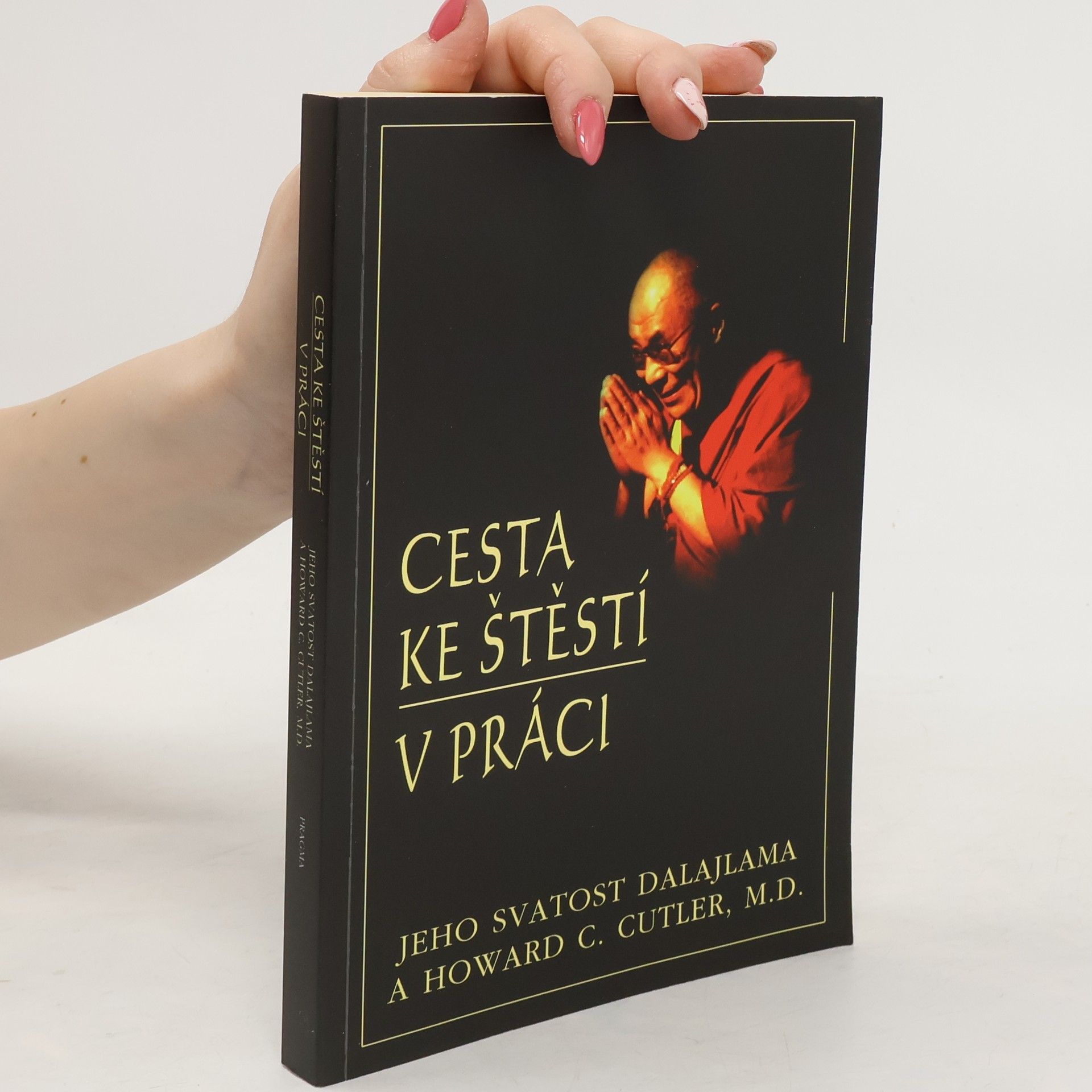 Bstan\'dzinrgyamtsho Cesta ke štěstí v práci