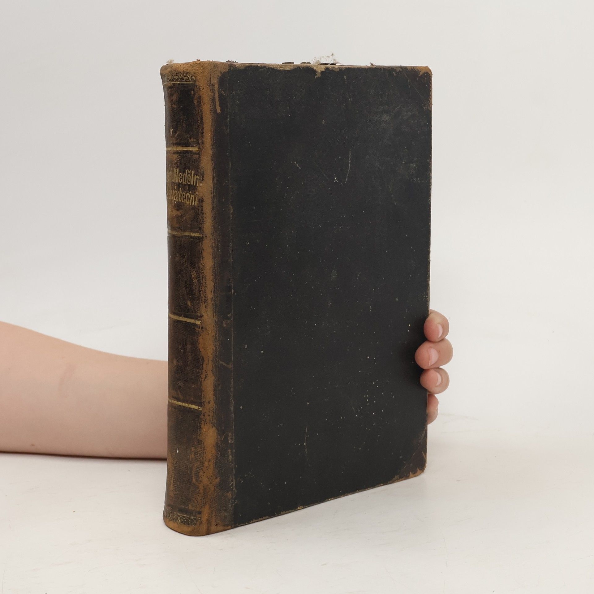 Jan Hikl Knihovna Sarkandrinská I. Řeči nedělní