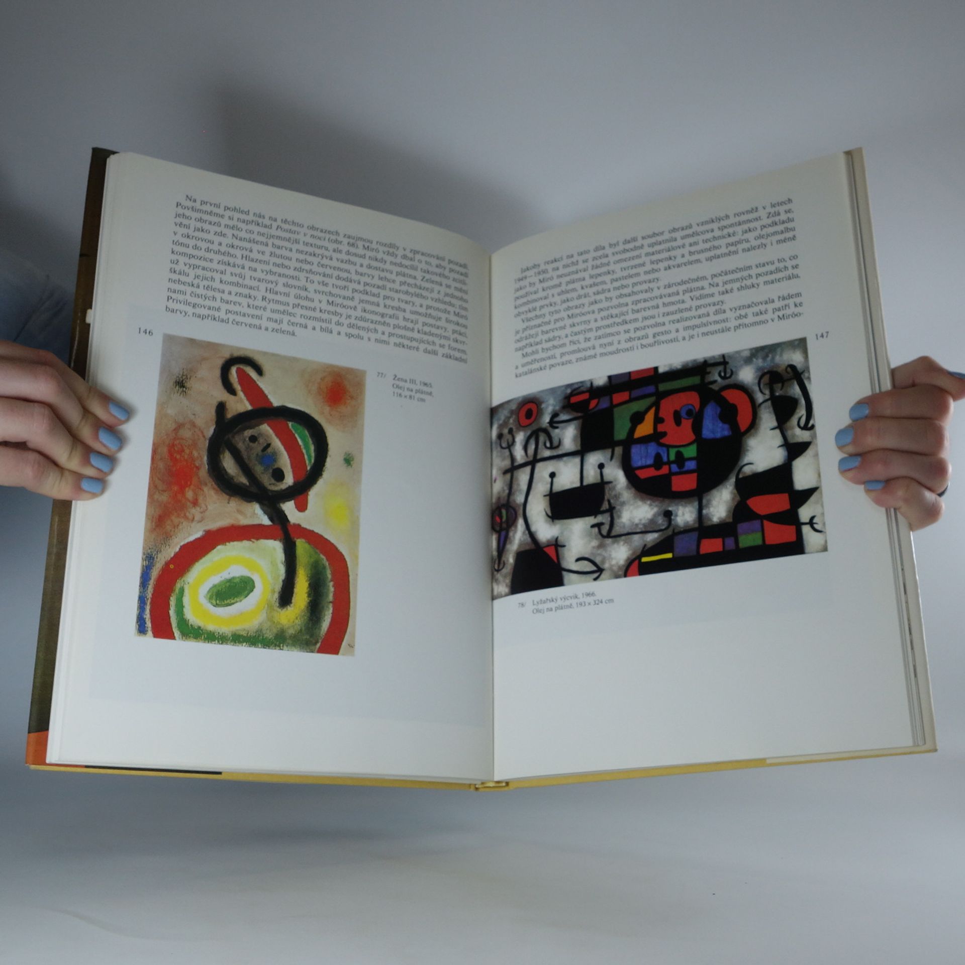 Rosa Maria Malet Joan Miró