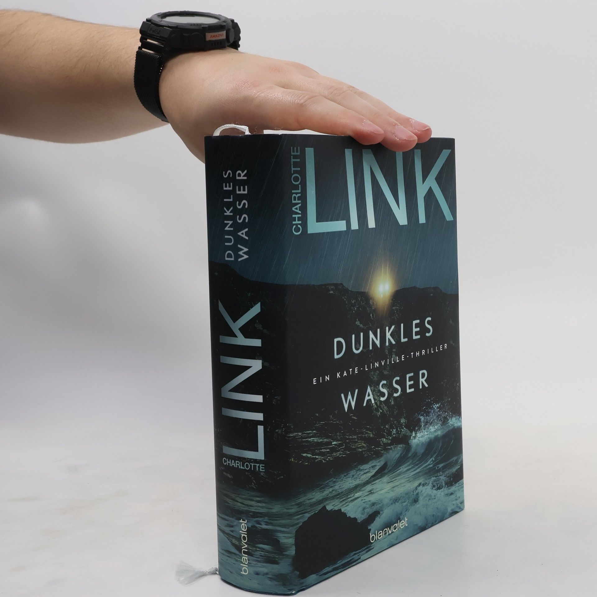 Charlotte Link Dunkles Wasser