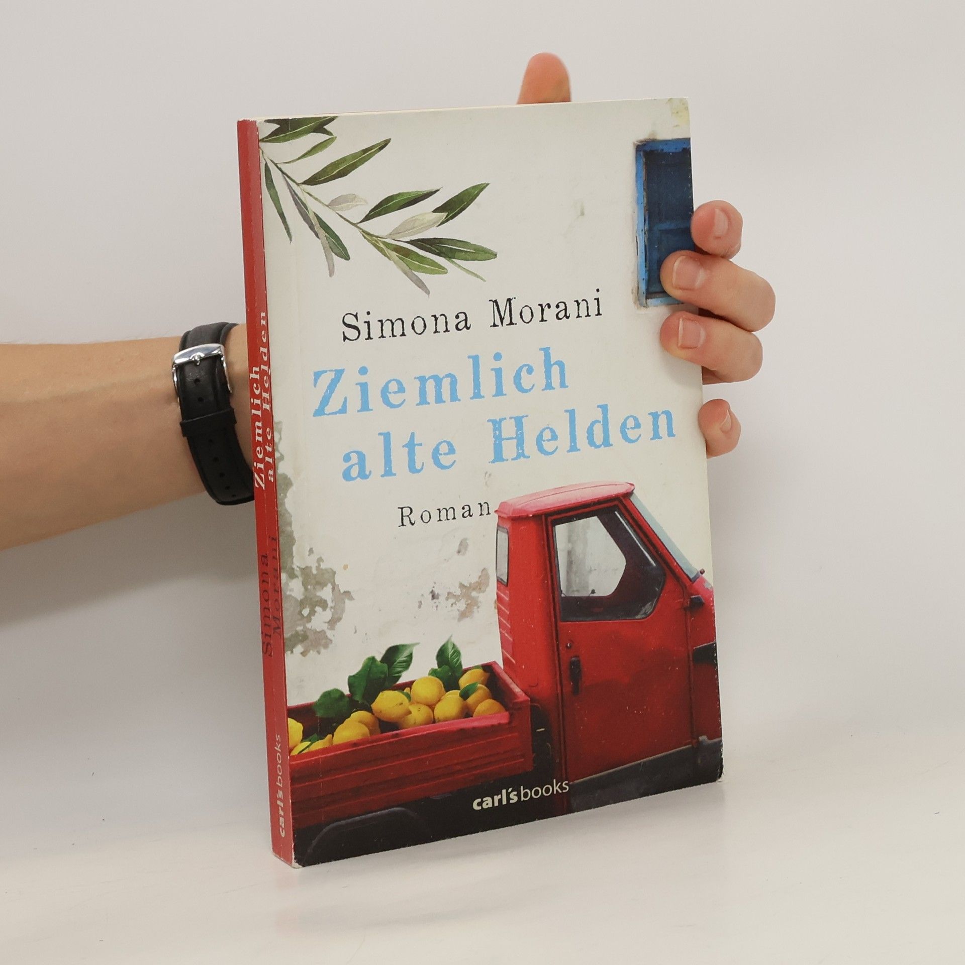 Simona Morani Ziemlich alte Helden