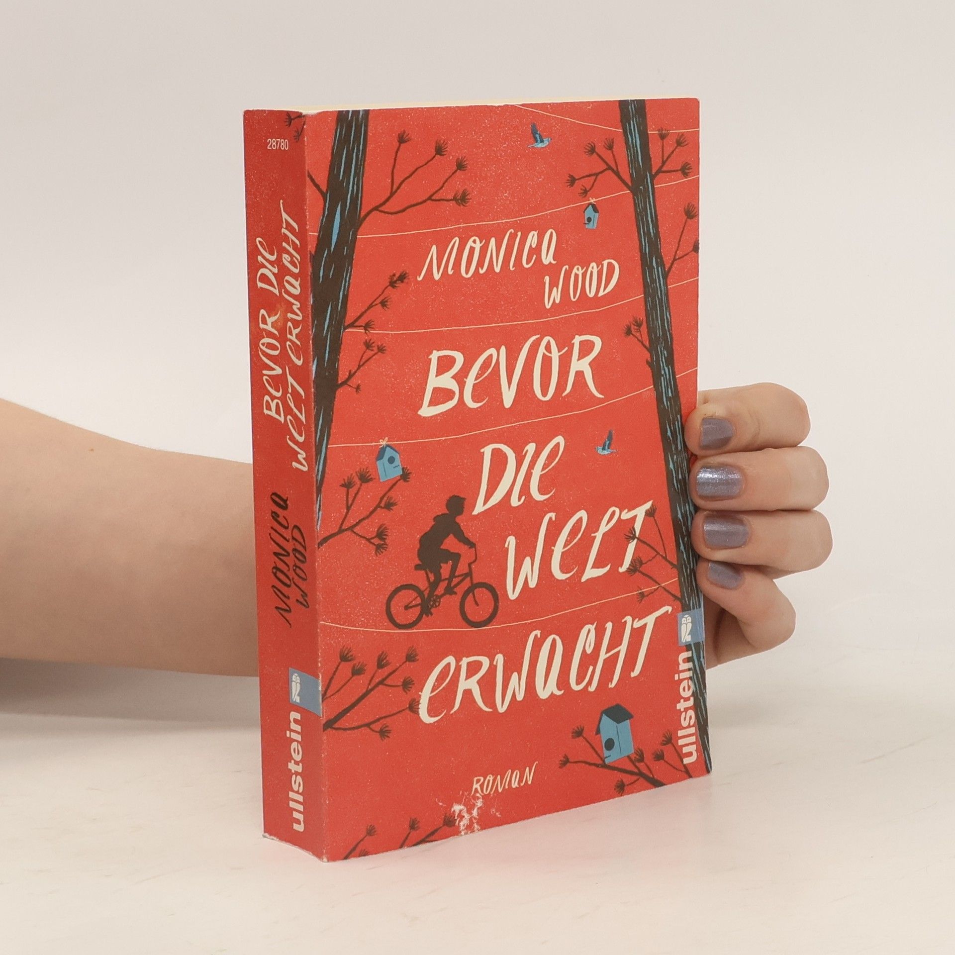 Monica Wood Bevor die Welt erwacht