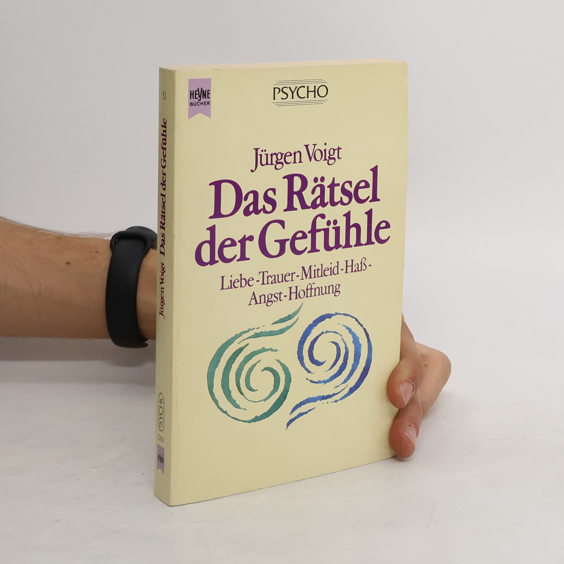 Jürgen Voigt Das Rätsel der Gefühle