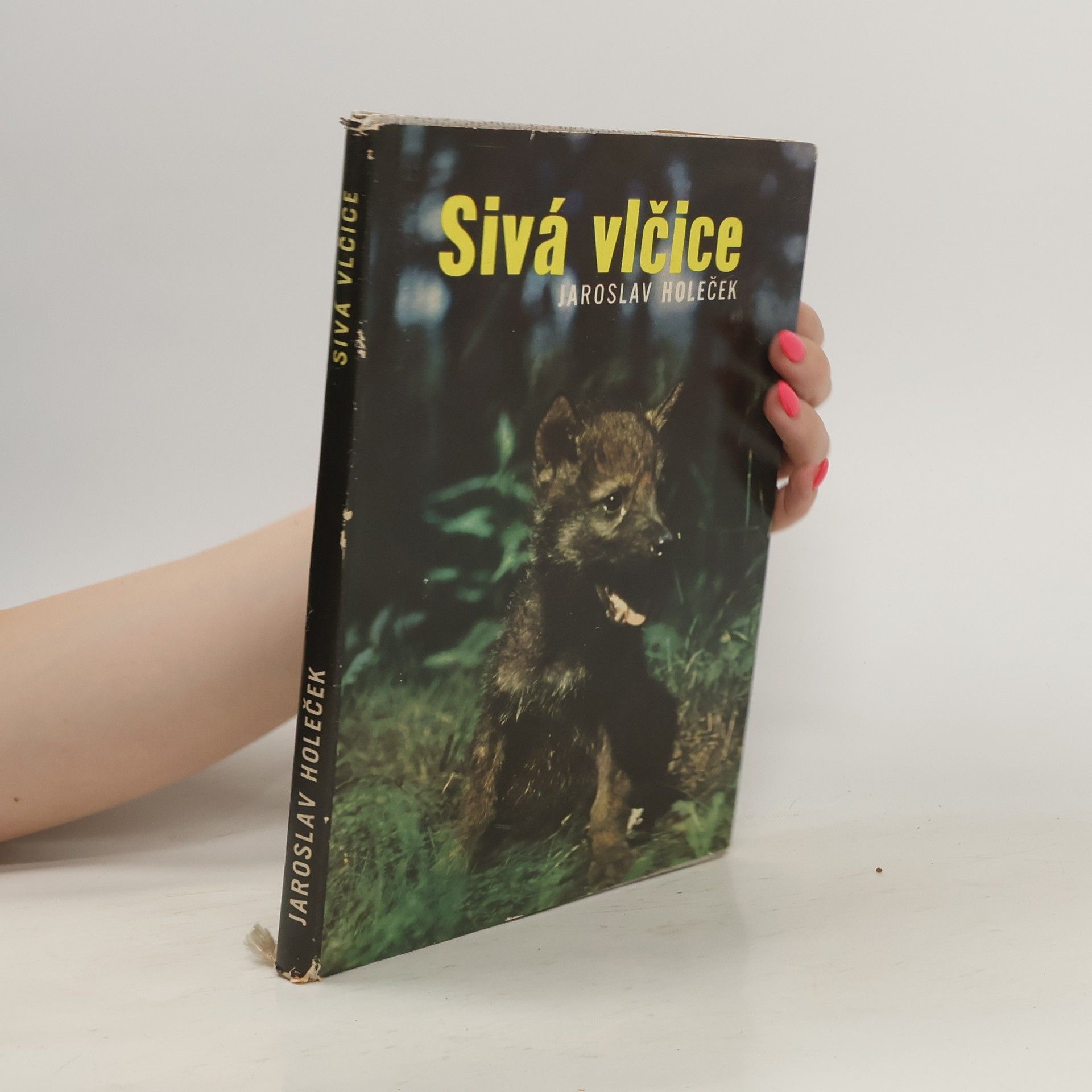 Jaroslav Holeček Sivá vlčice