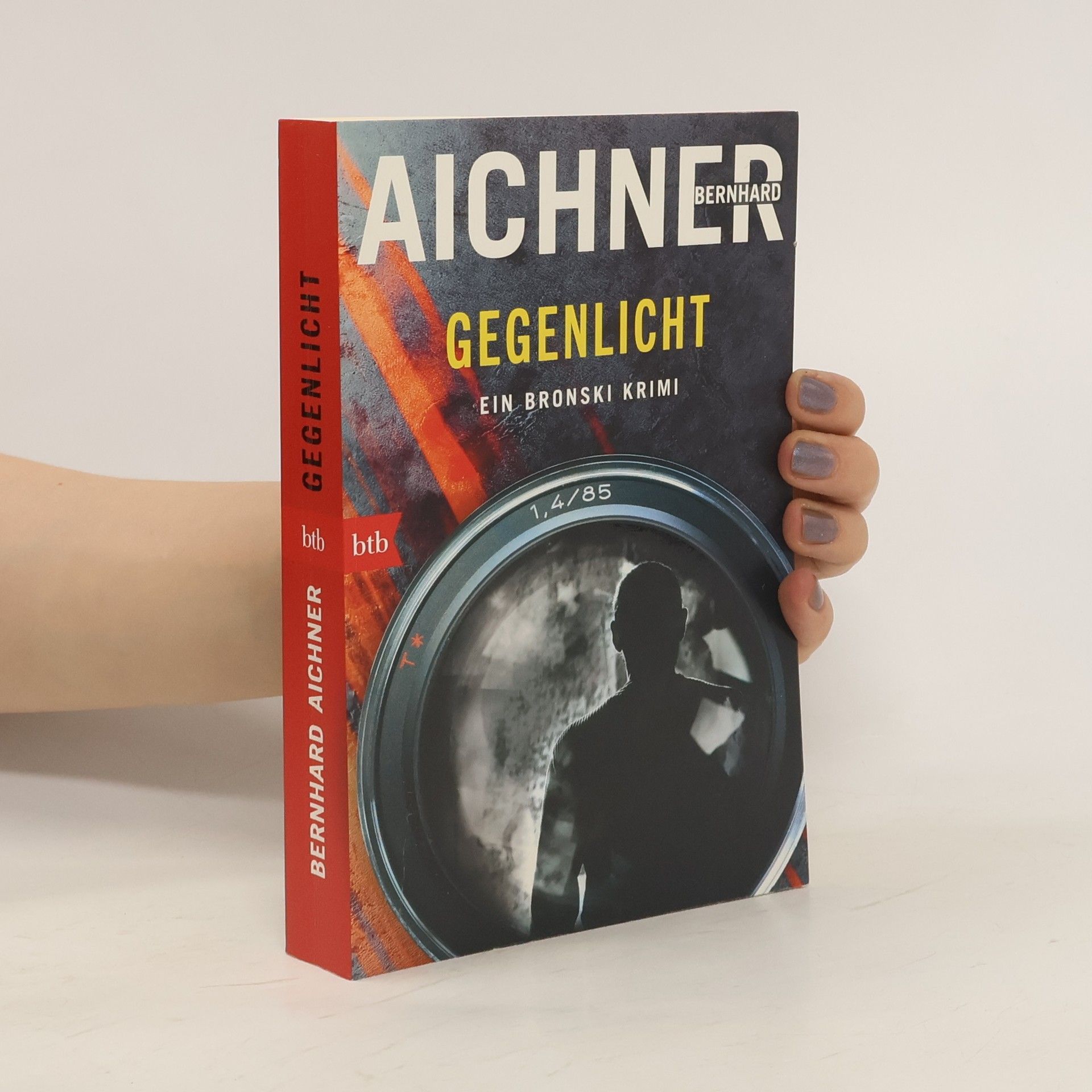 Bernhard Aichner Gegenlicht