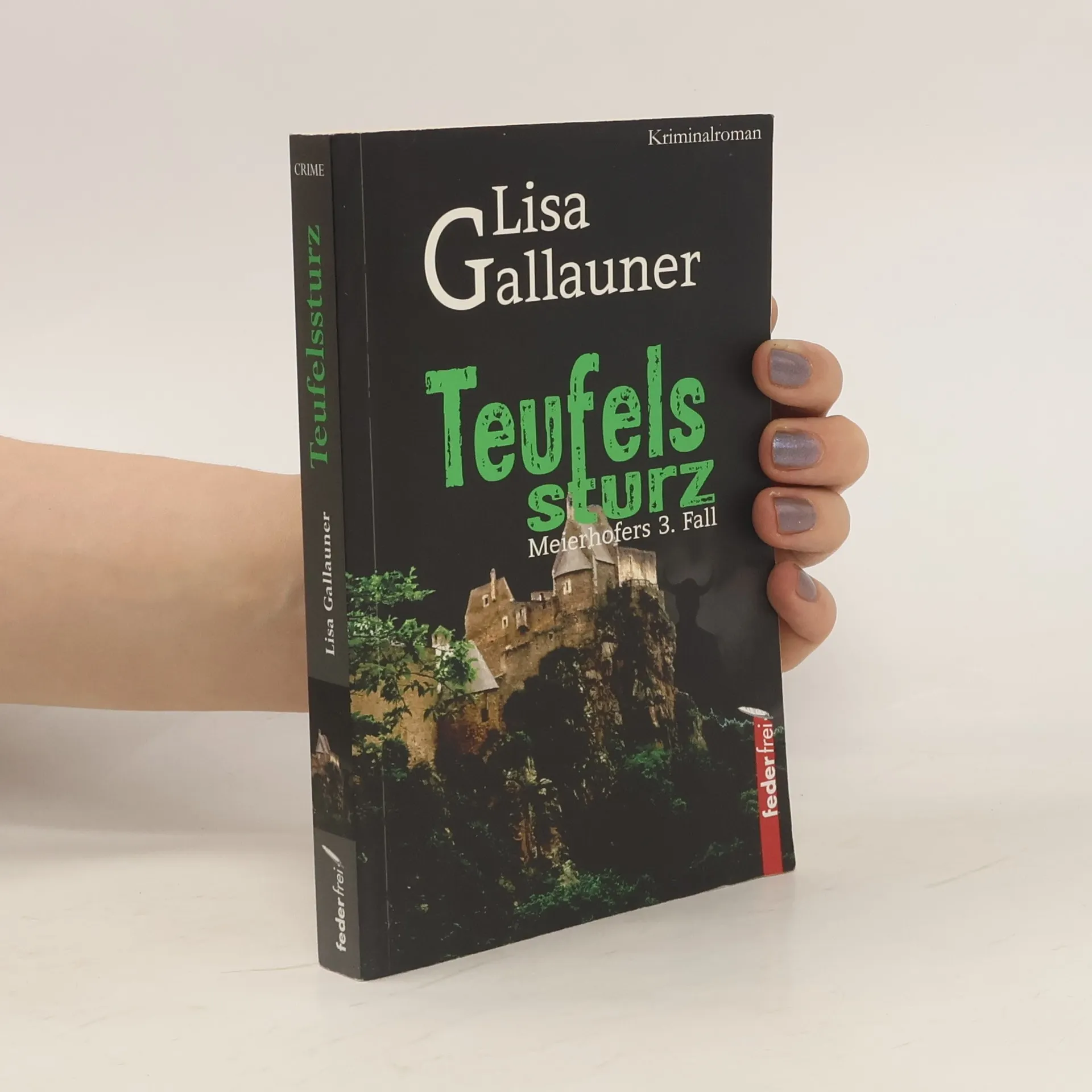 Teufelssturz | Book | Lisa Gallauner | DE