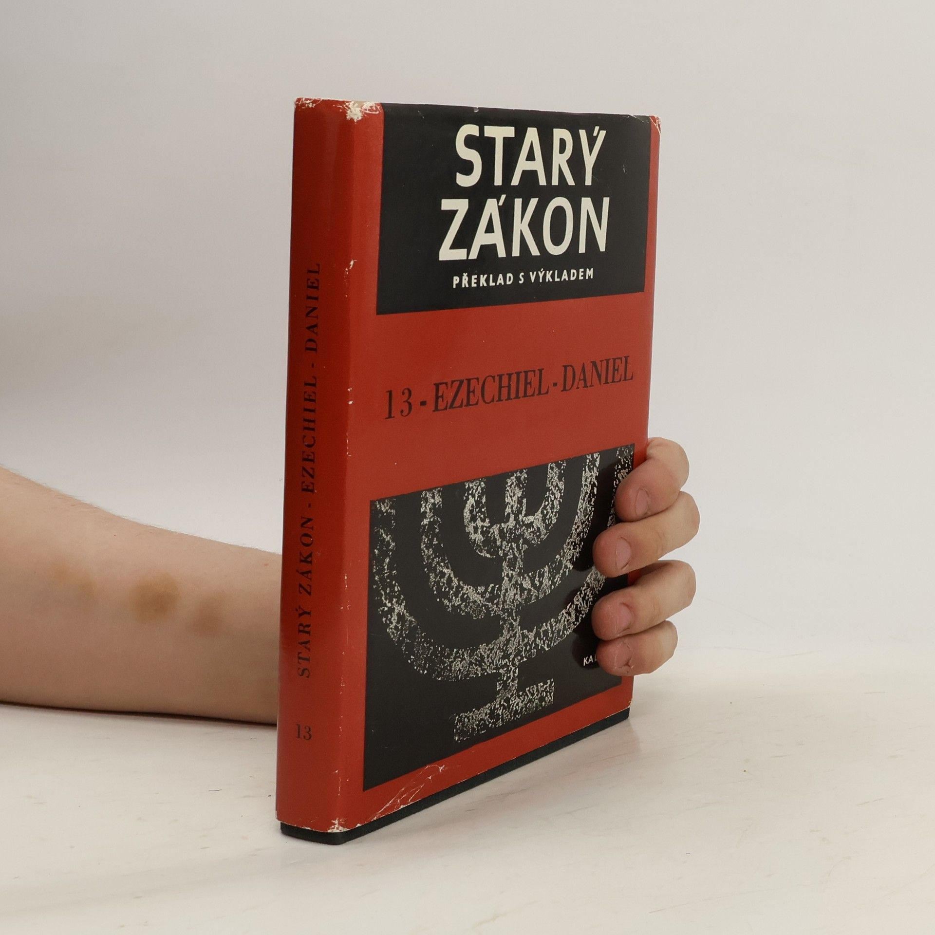 Autores varios Starý zákon. Překlad s výkladem 13. Ezechiel-Daniel