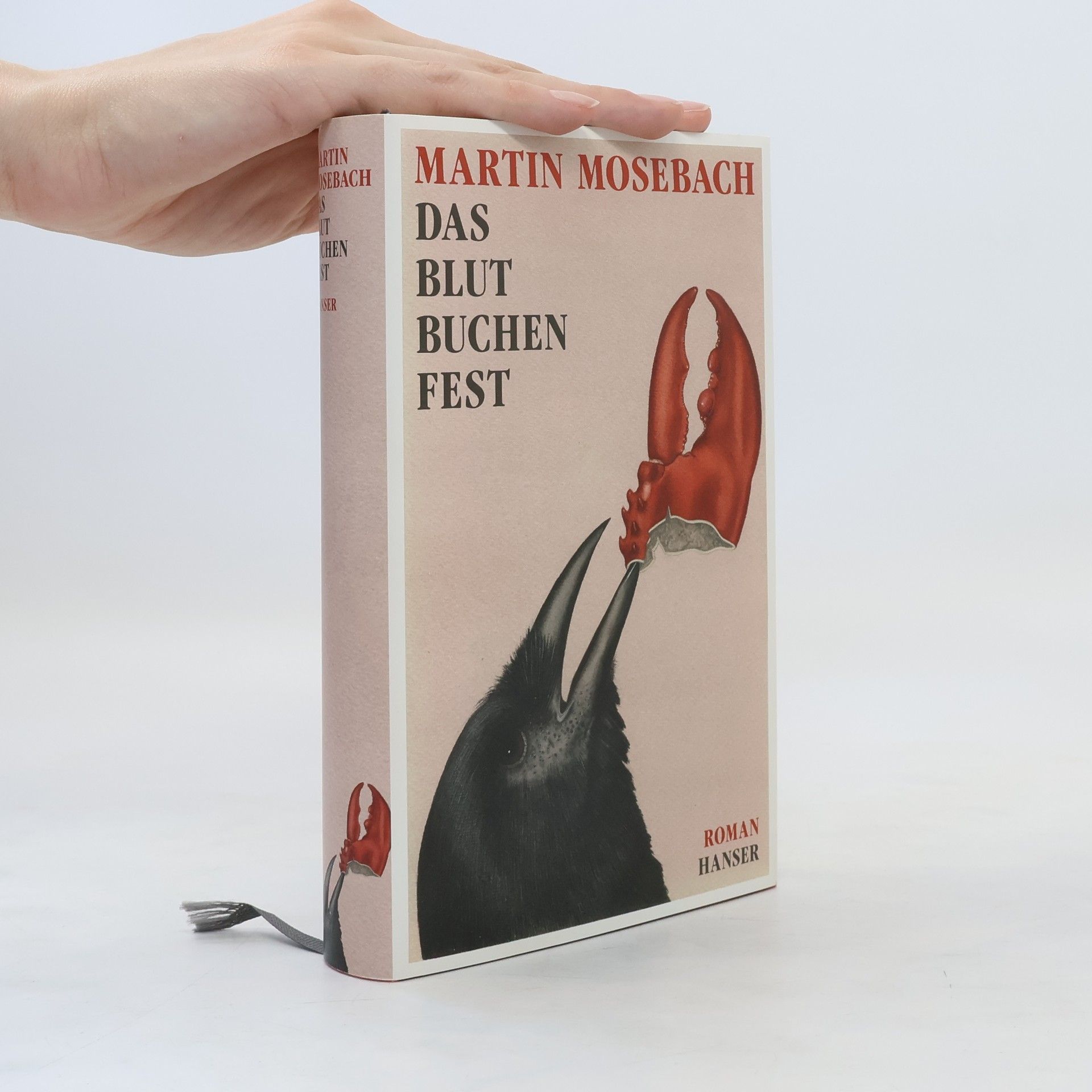 Martin Mosebach Das Blutbuchenfest