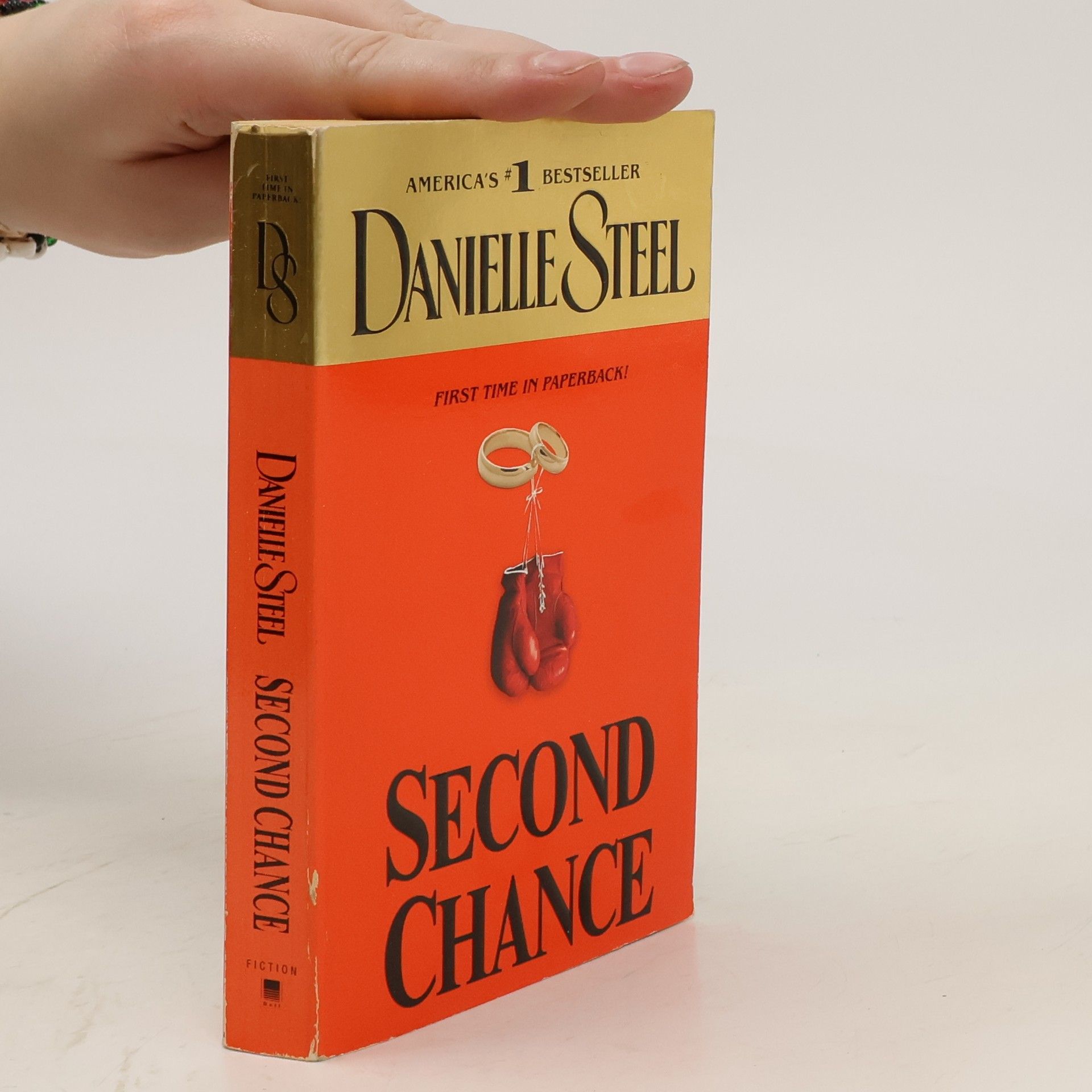 Danielle Steel Second Chance