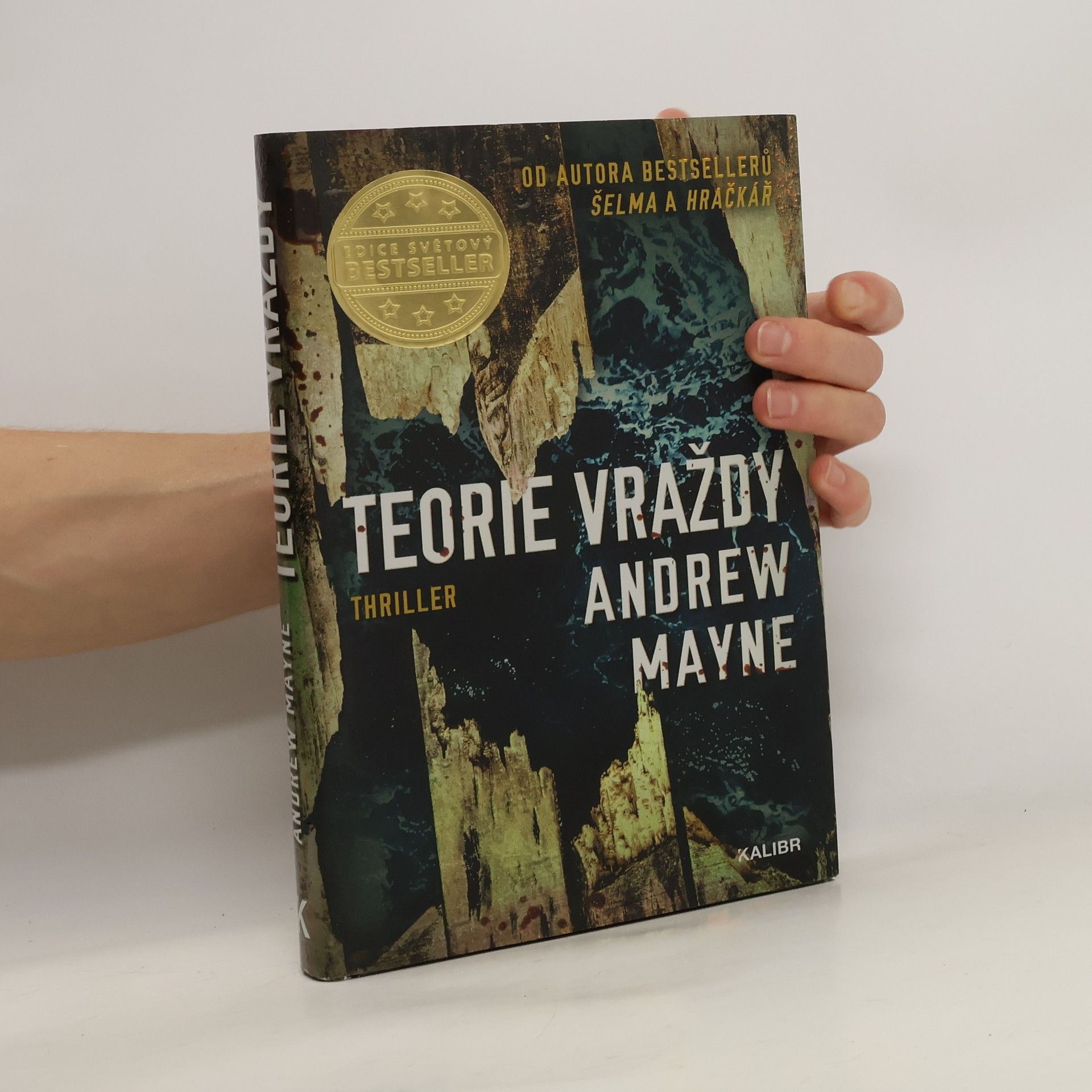 Andrew Mayne Teorie vraždy