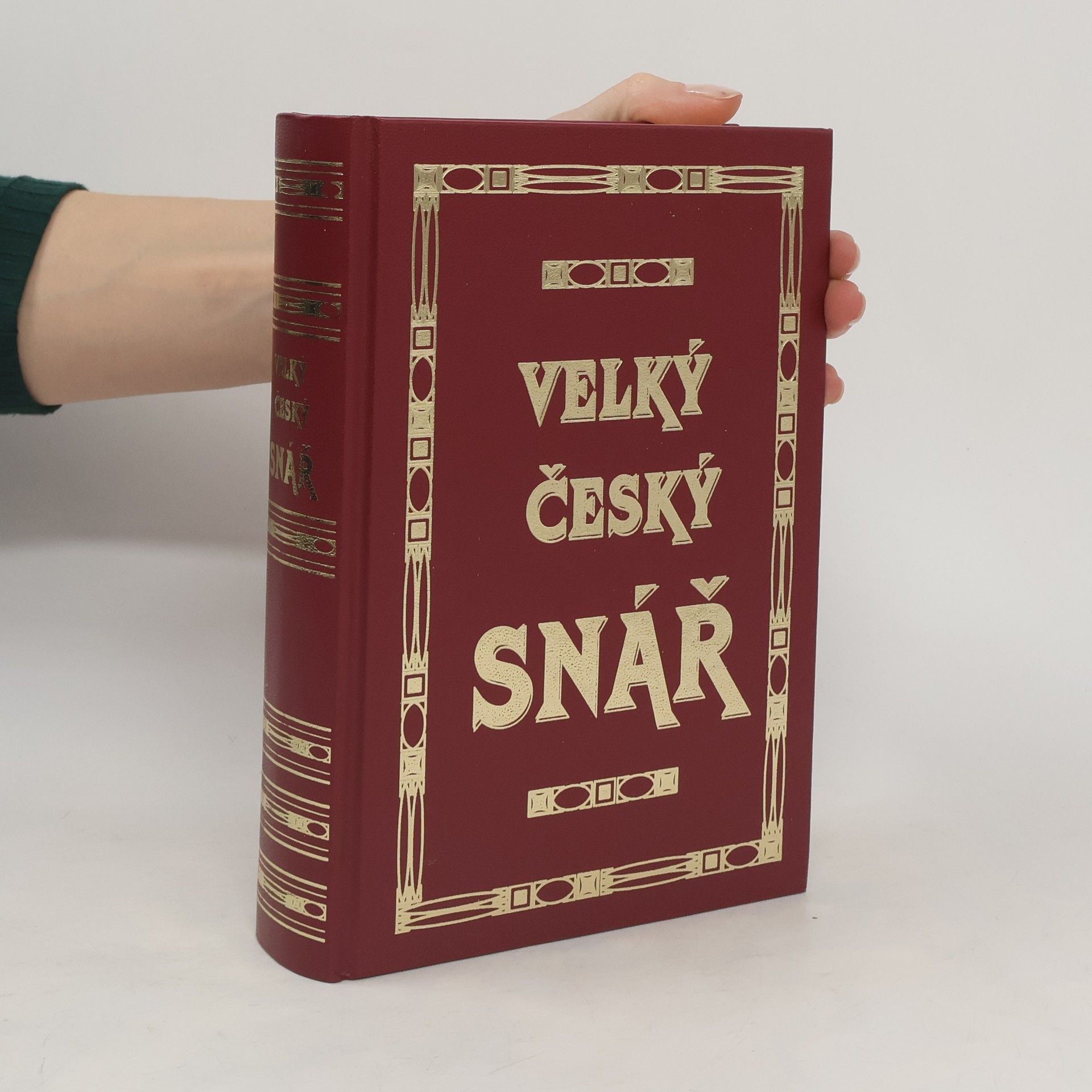 Anna Nováková Velký český snář