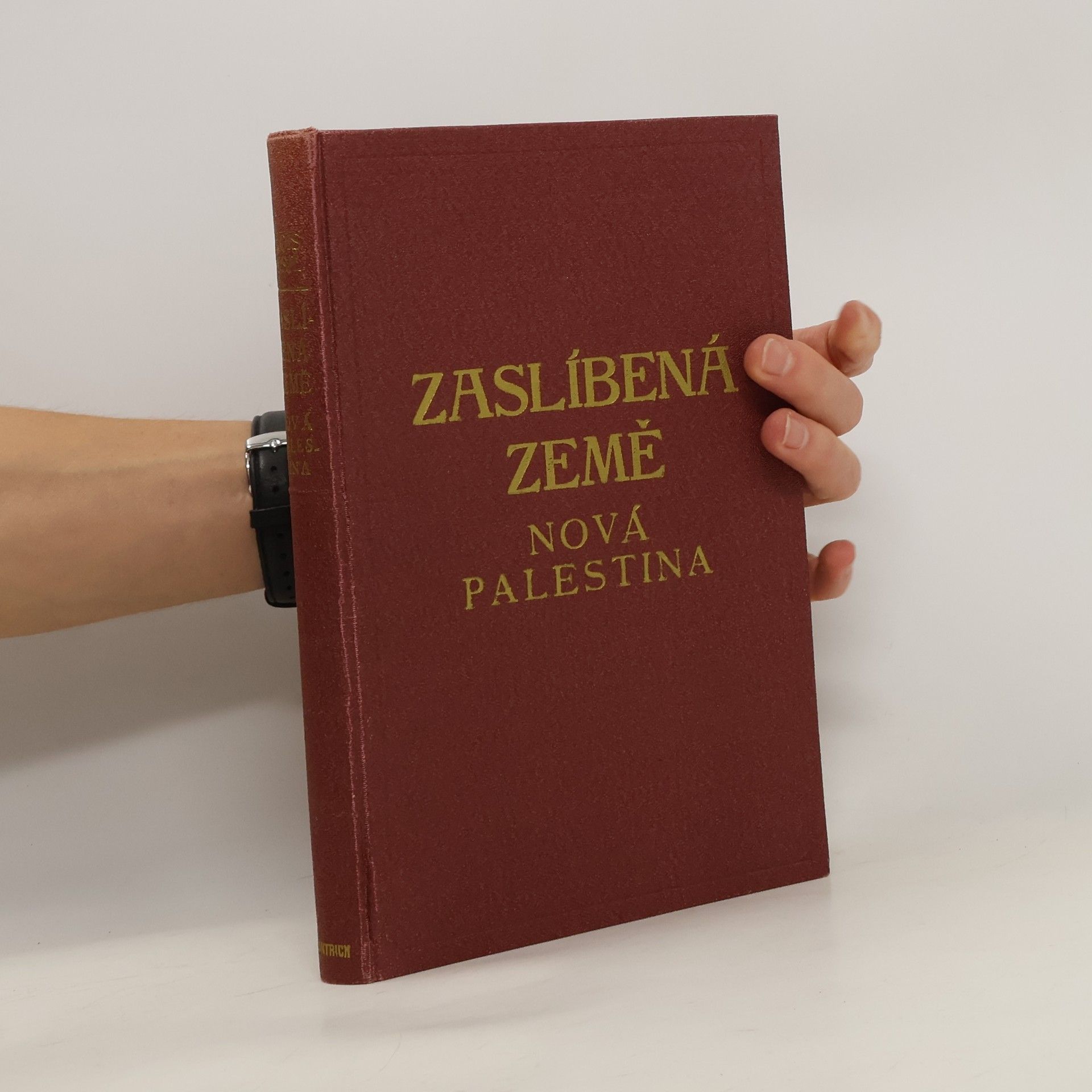Alois Musil Zaslíbená země