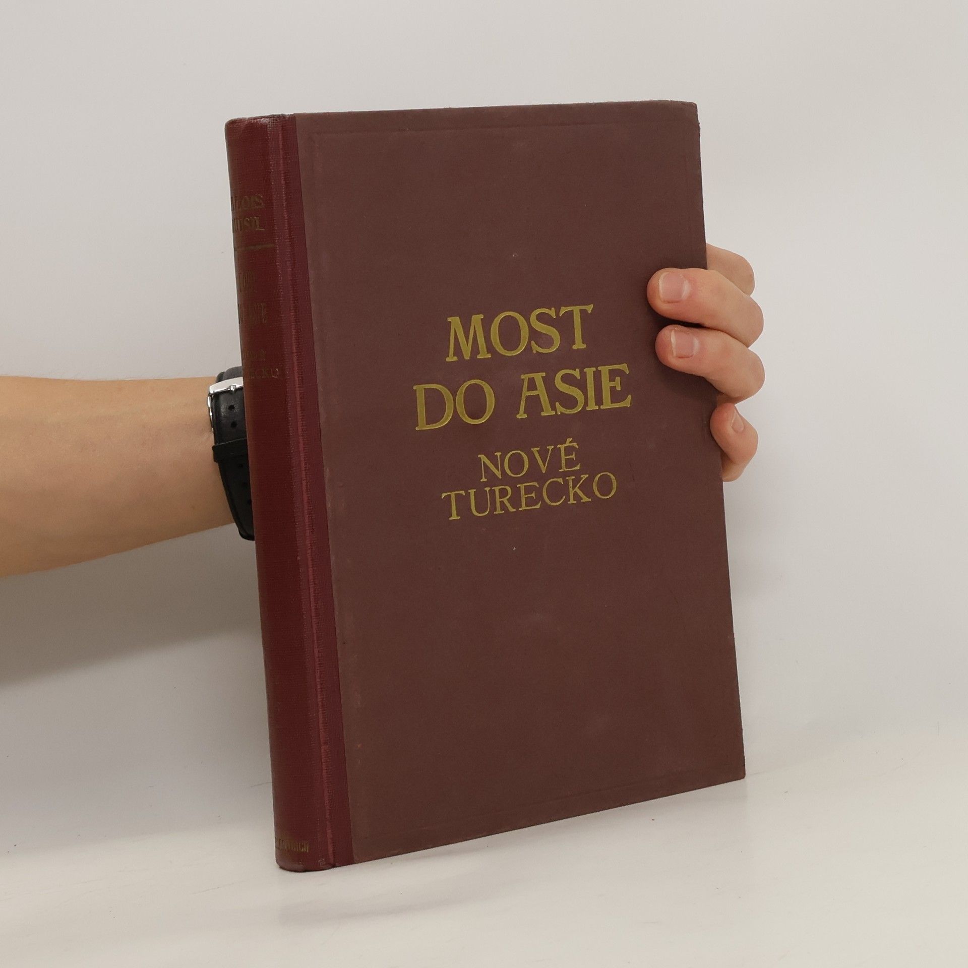 Alois Musil Most do Asie : Nové Turecko