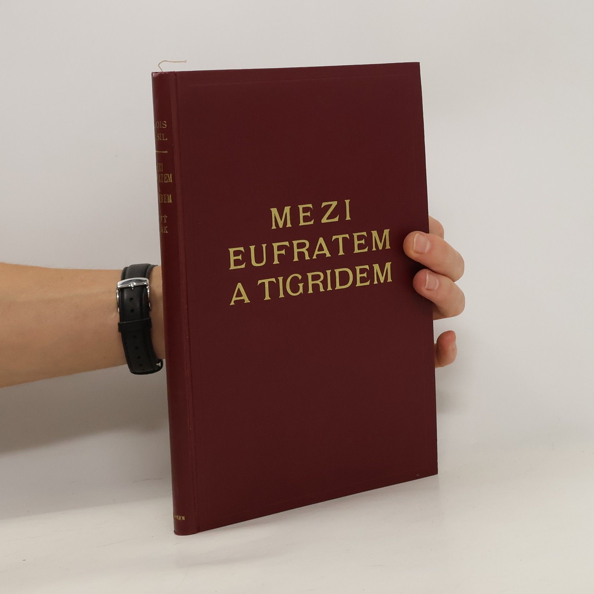 Alois Musil Mezi Eufratem a Tigridem. Nový Irák