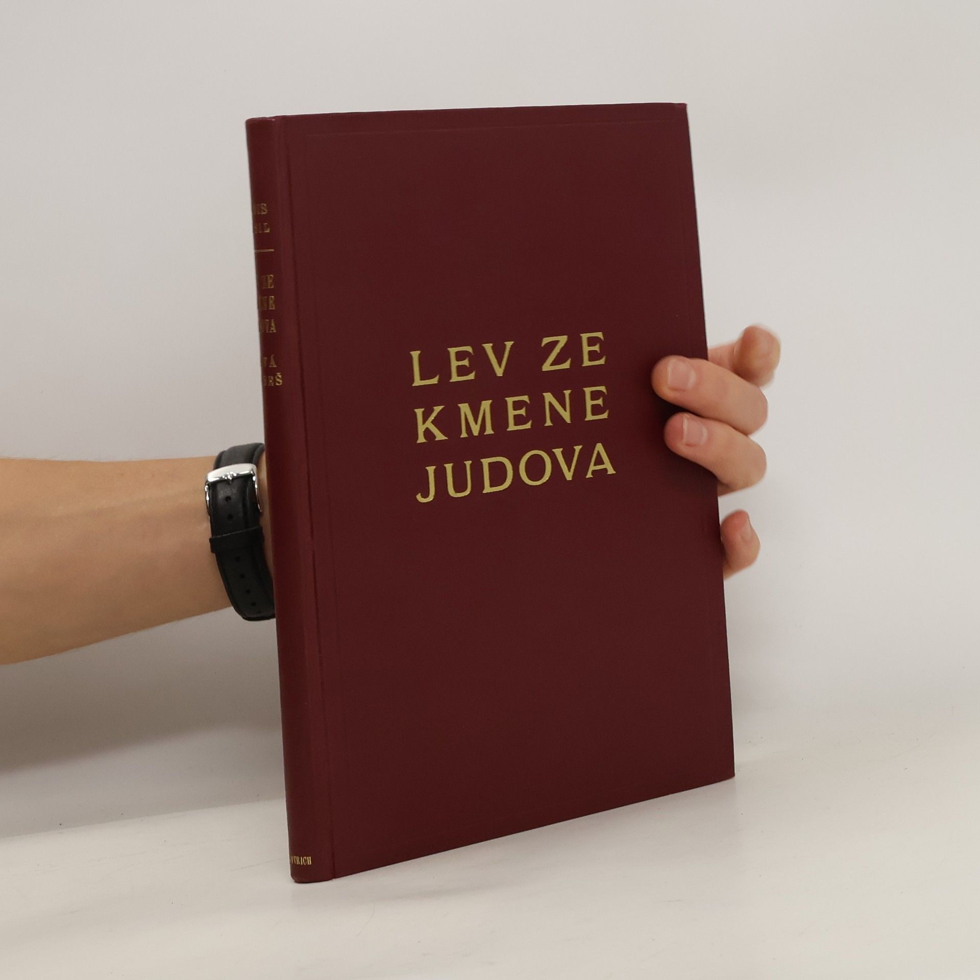 Alois Musil Lev ze kmene Judova. Nová Habeš