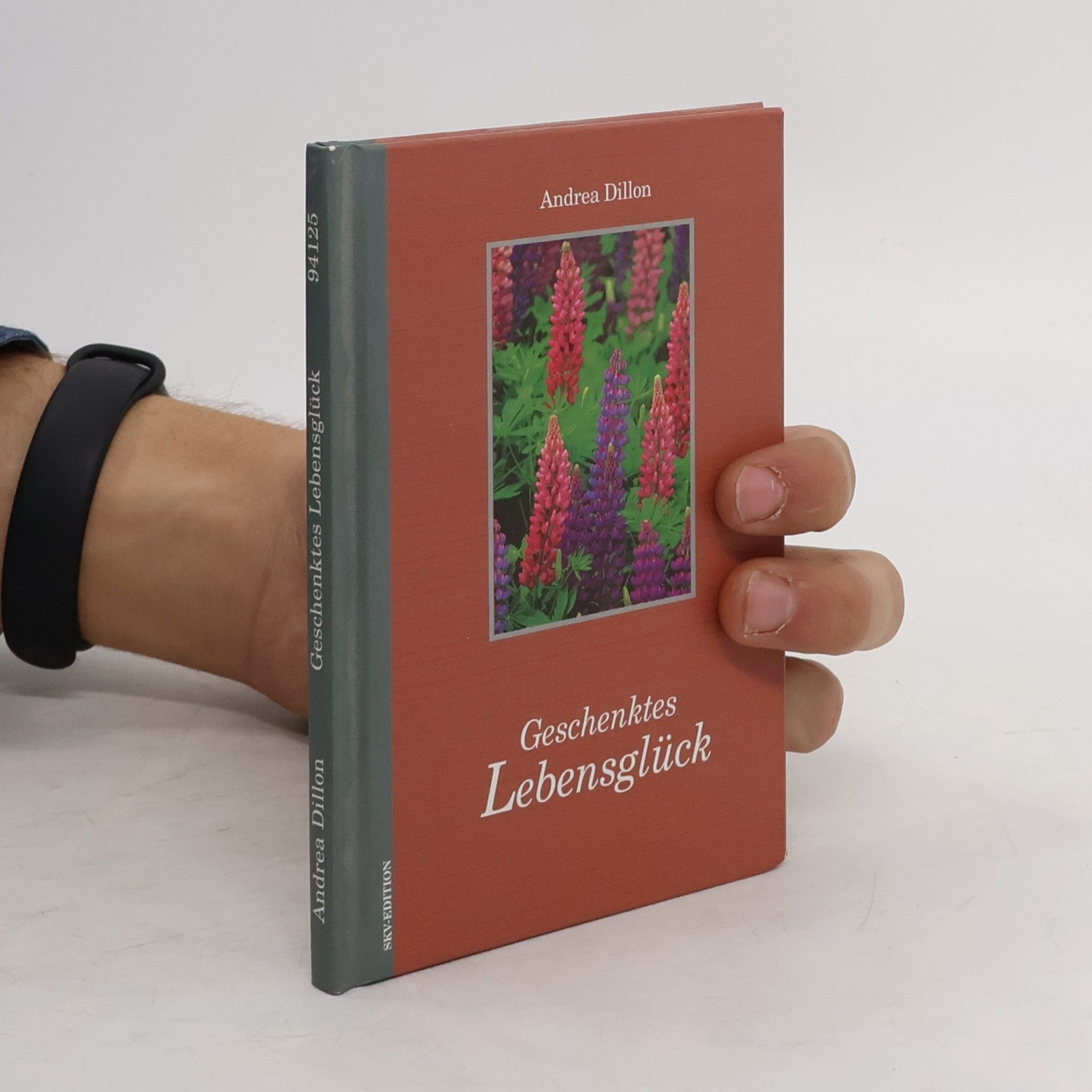 Andrea Dillon Geschenktes Lebensglück.