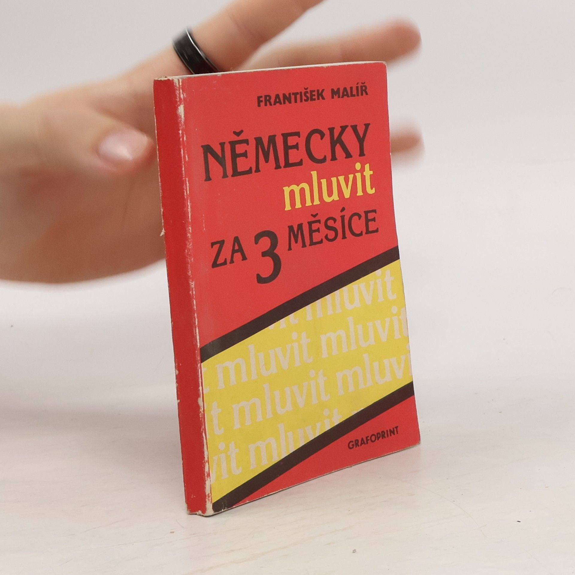 František Malíř Německy mluvit za 3 měsíce