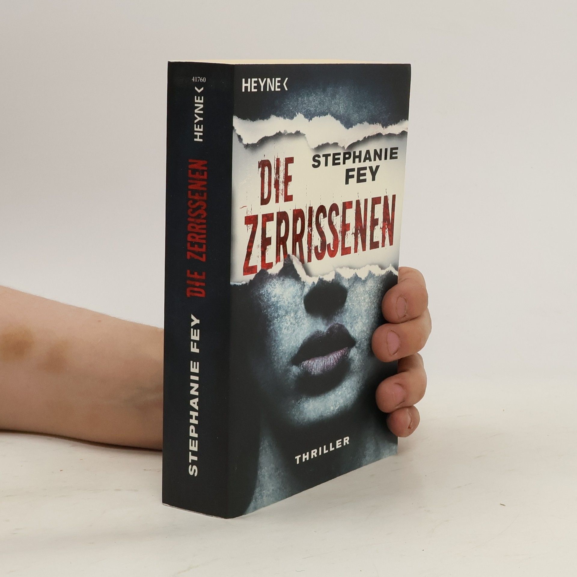 Stephanie Fey Die Zerrissenen